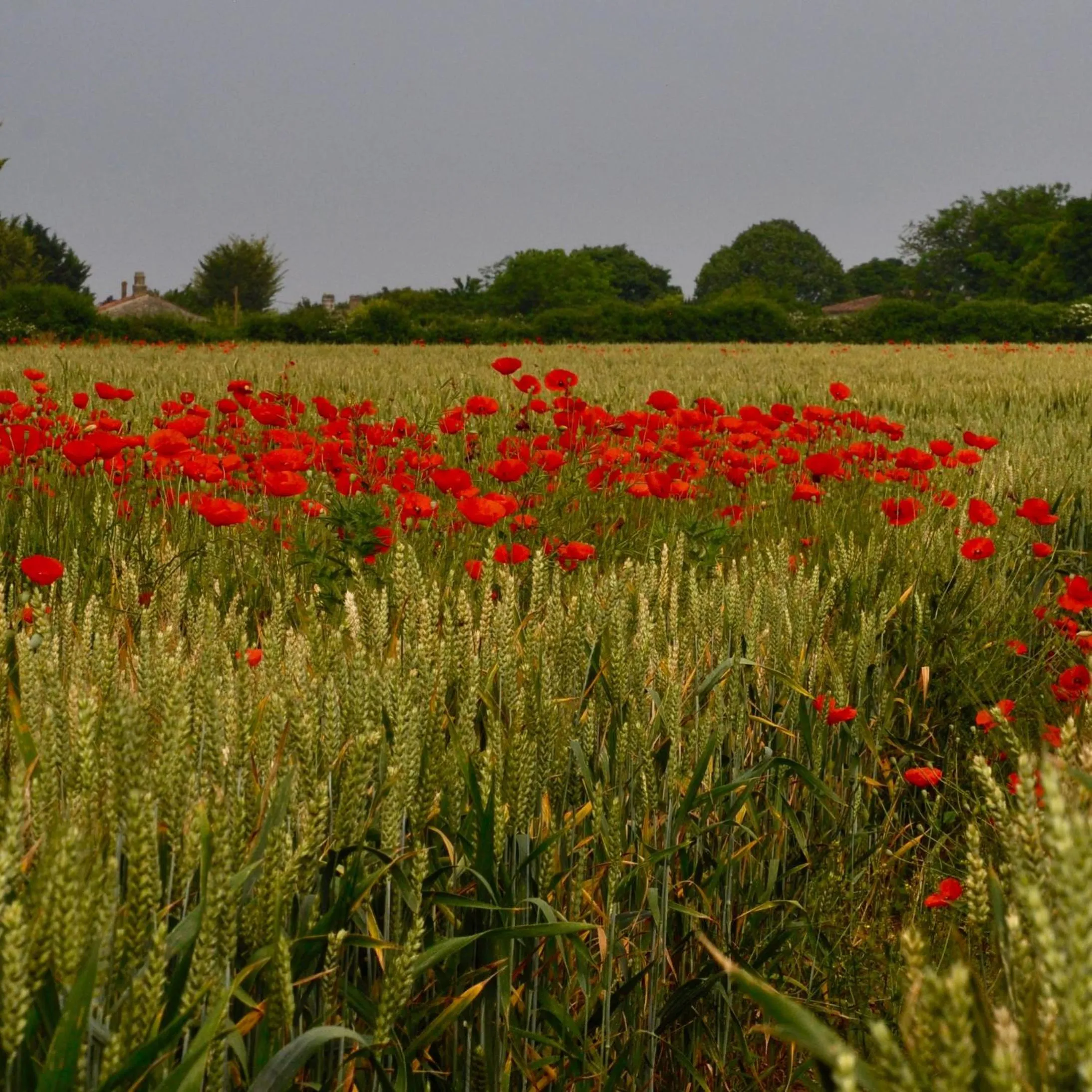 Property building in Chez Fins Bois