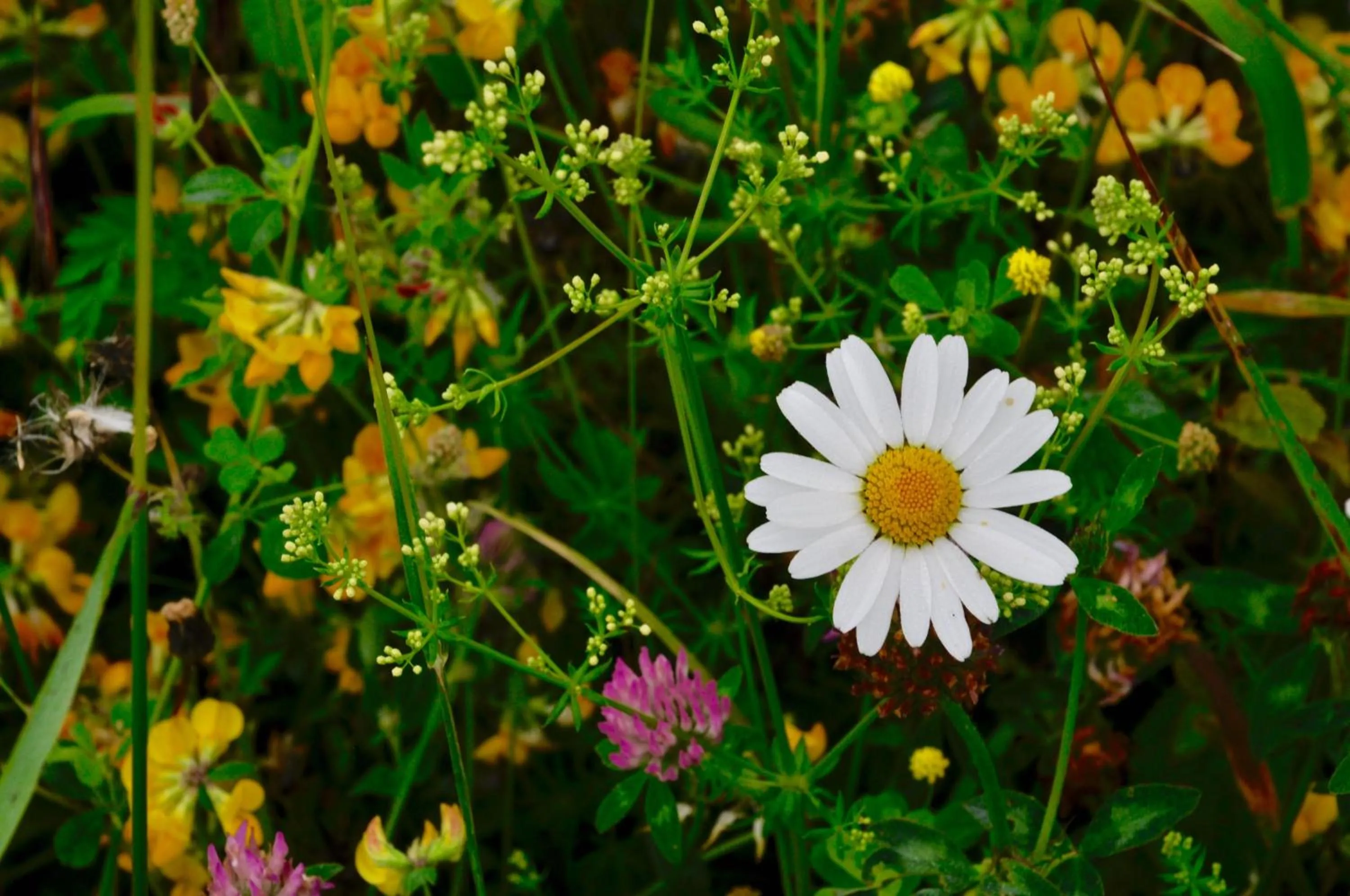 Property building in Chez Fins Bois