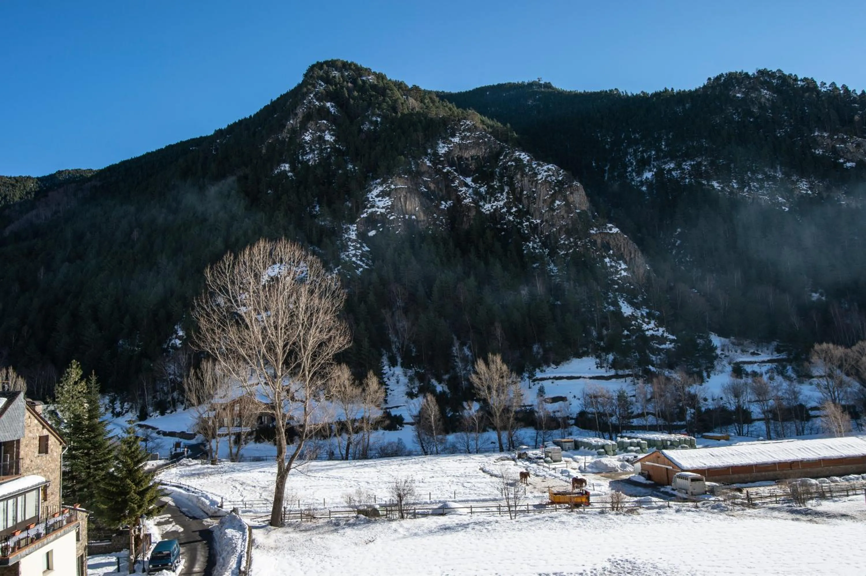 Skiing in Pierre & Vacances Aparthotel La Tulipa