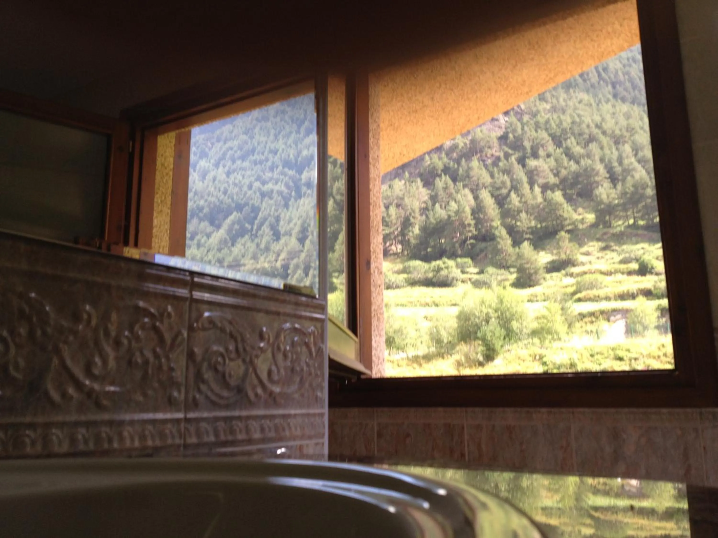 View (from property/room) in Hotel Xalet Verdú