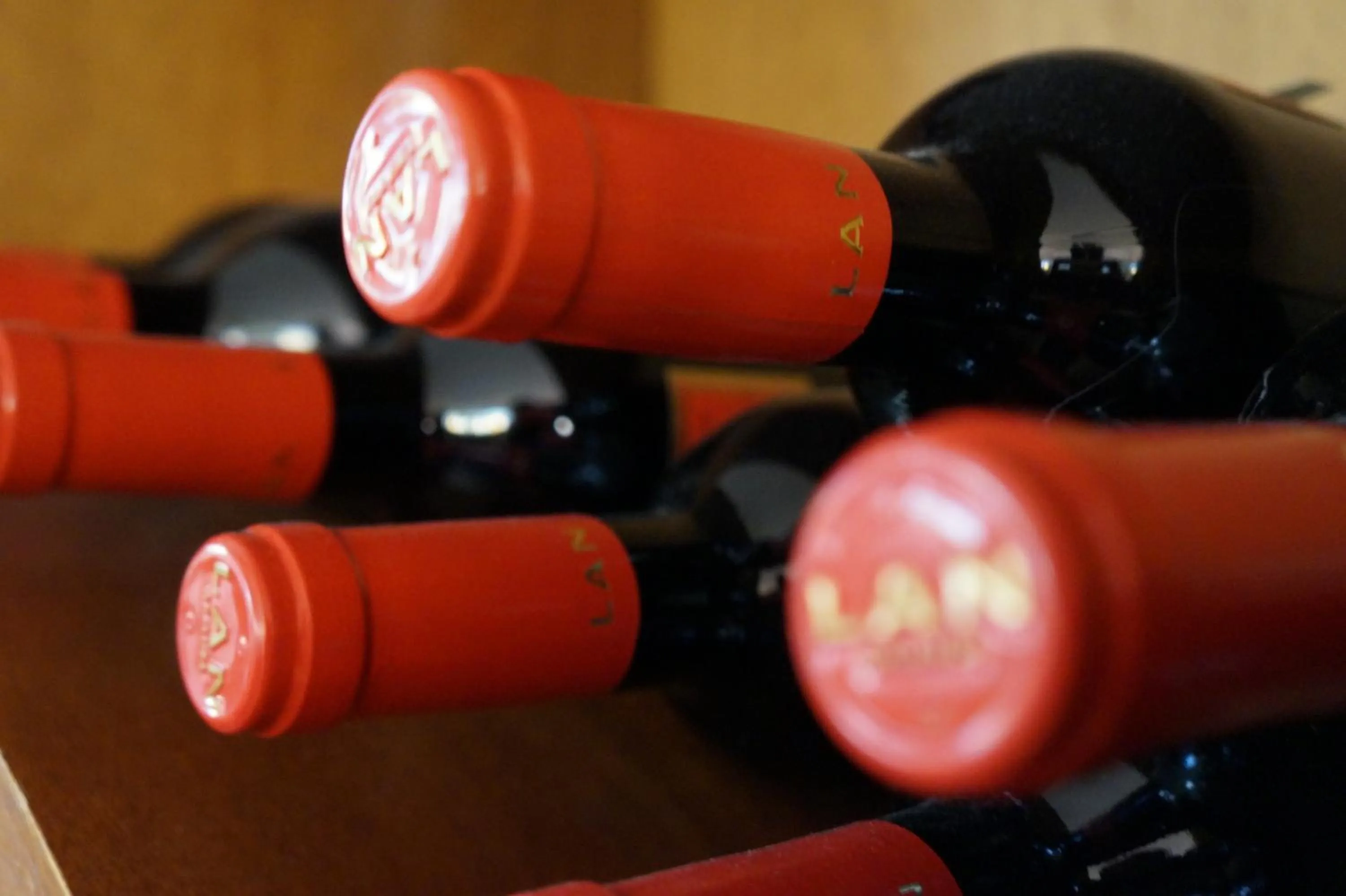 Restaurant/places to eat in Hotel Xalet Verdú