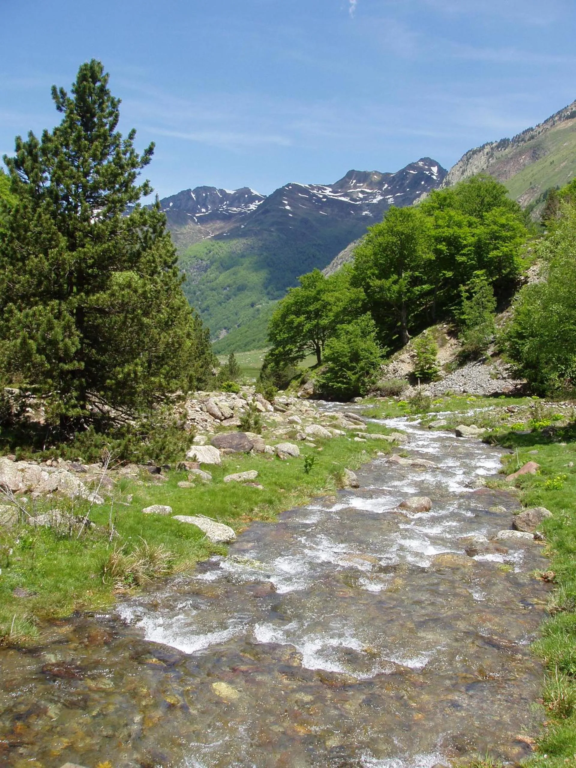 Natural landscape in Gite et camping Ascou La Forge