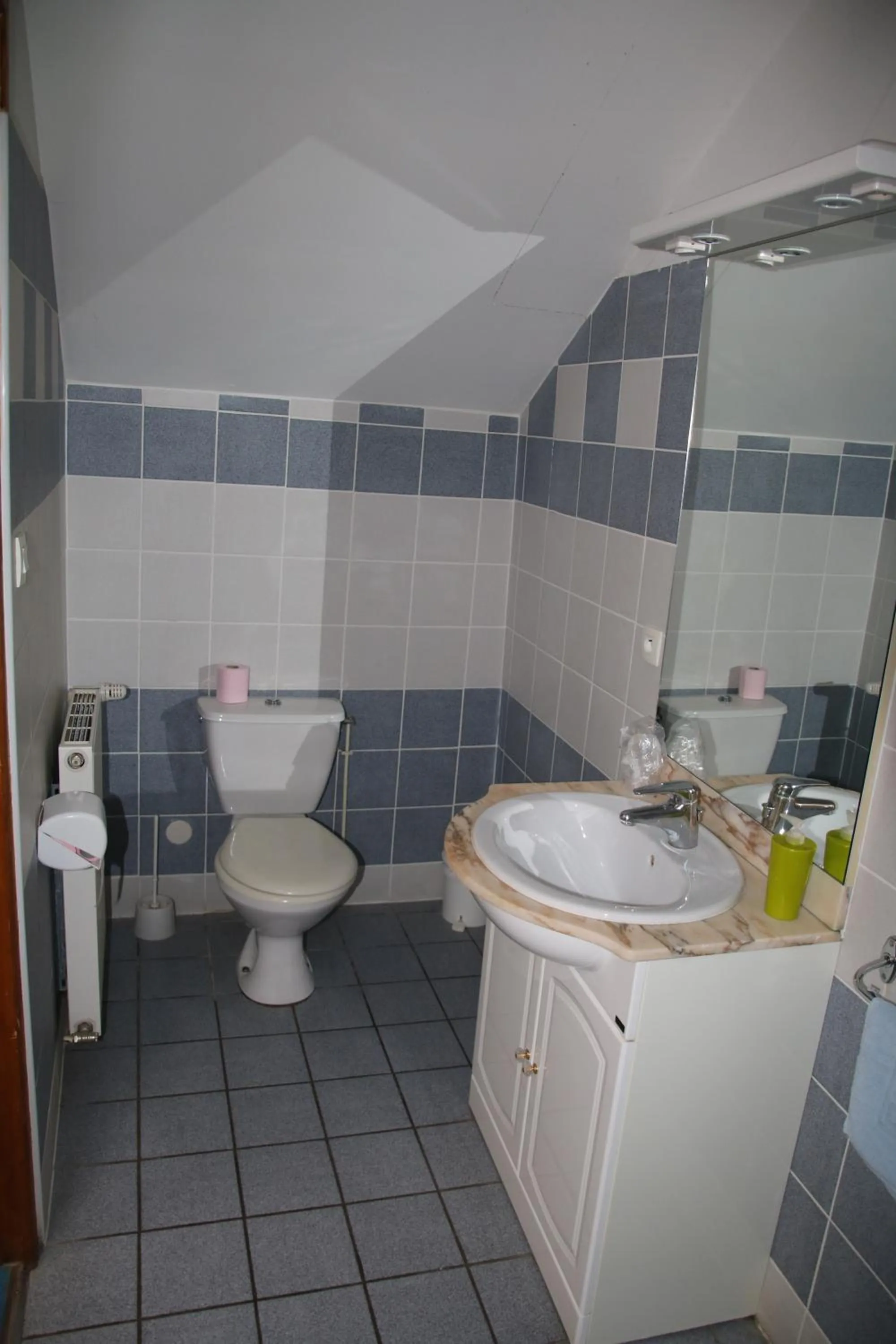 Bathroom in Gite et camping Ascou La Forge