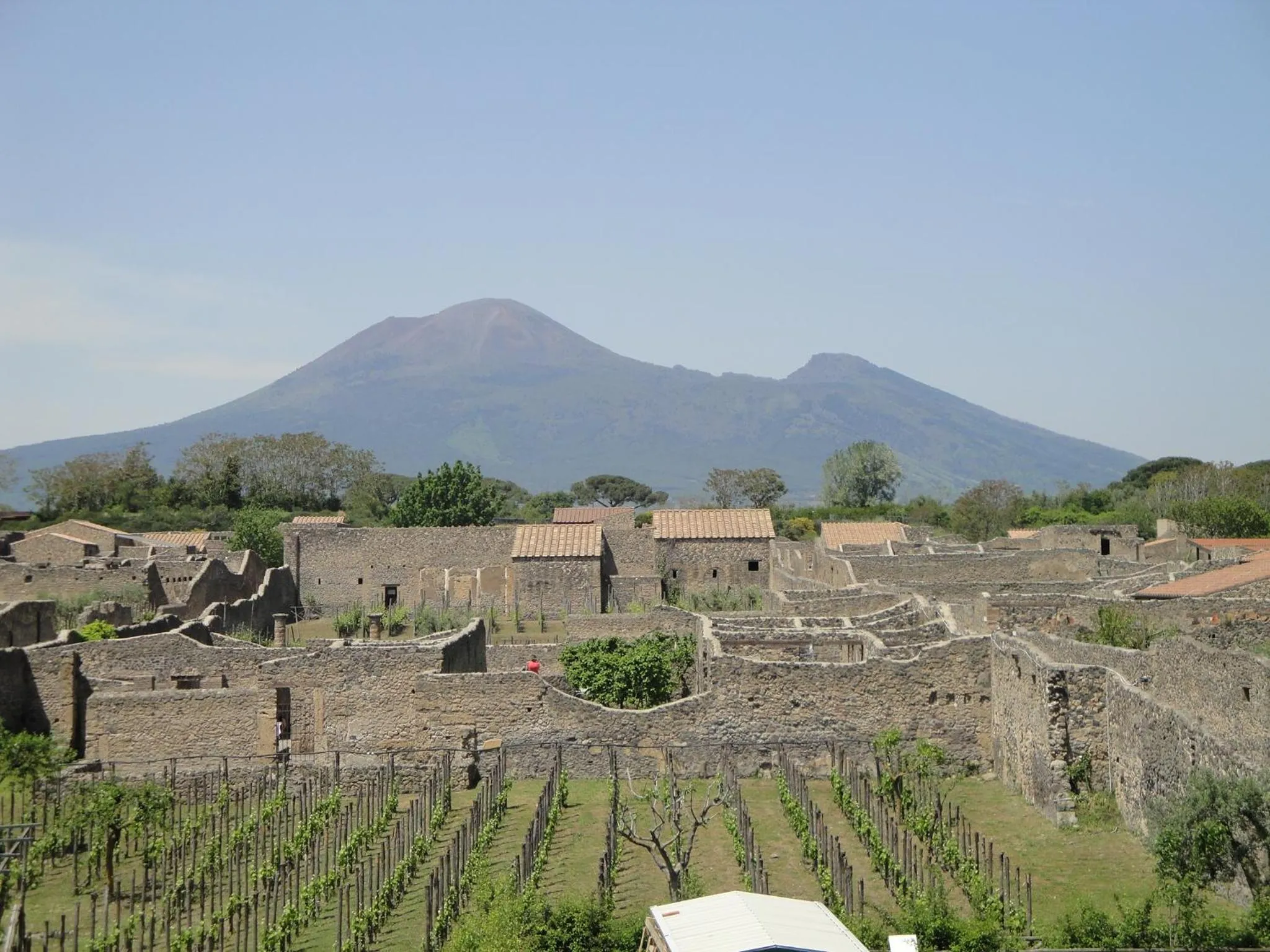 Nearby landmark in AreA DomuS