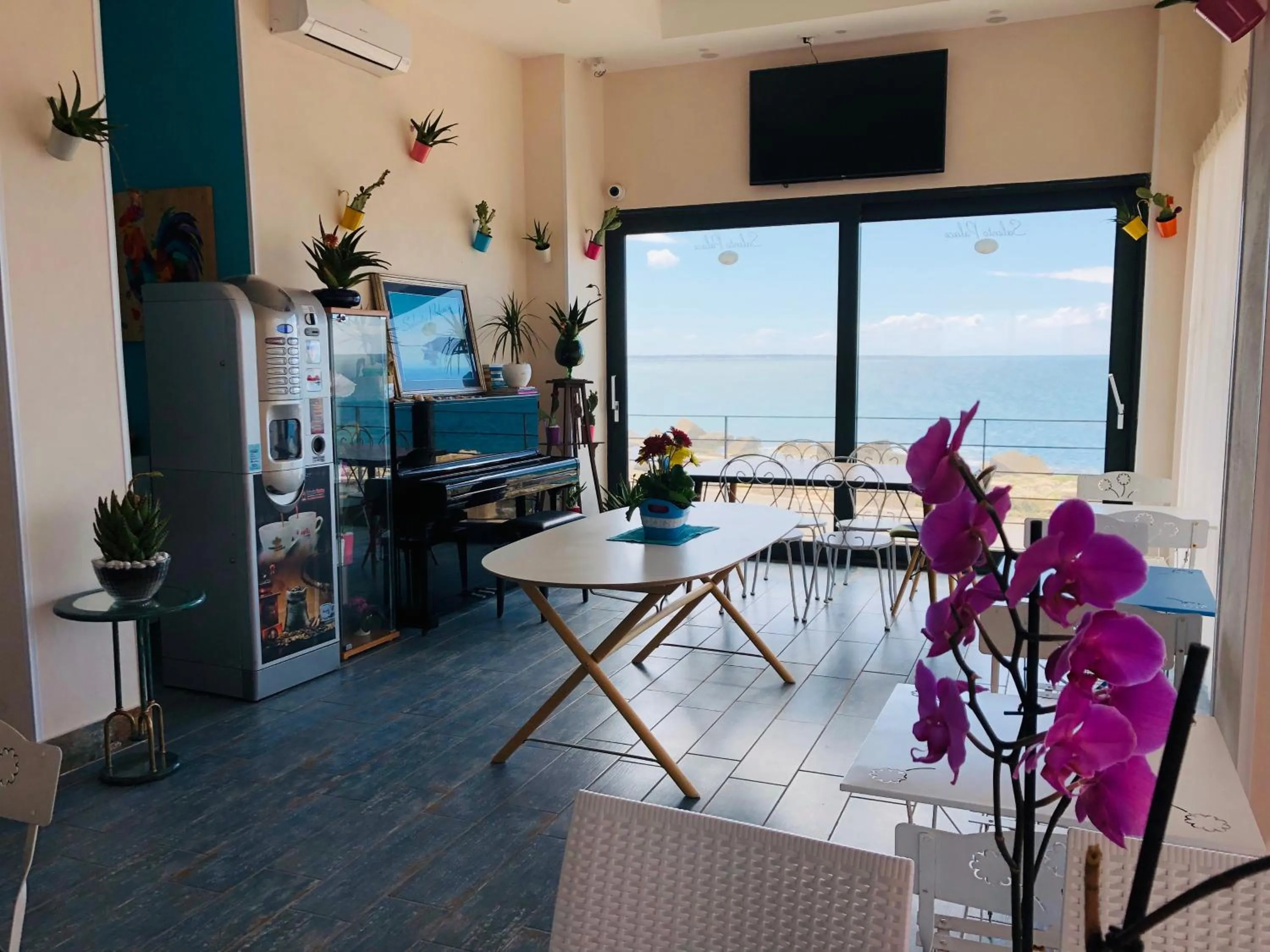 Communal lounge/ TV room in Palace Blu Mare