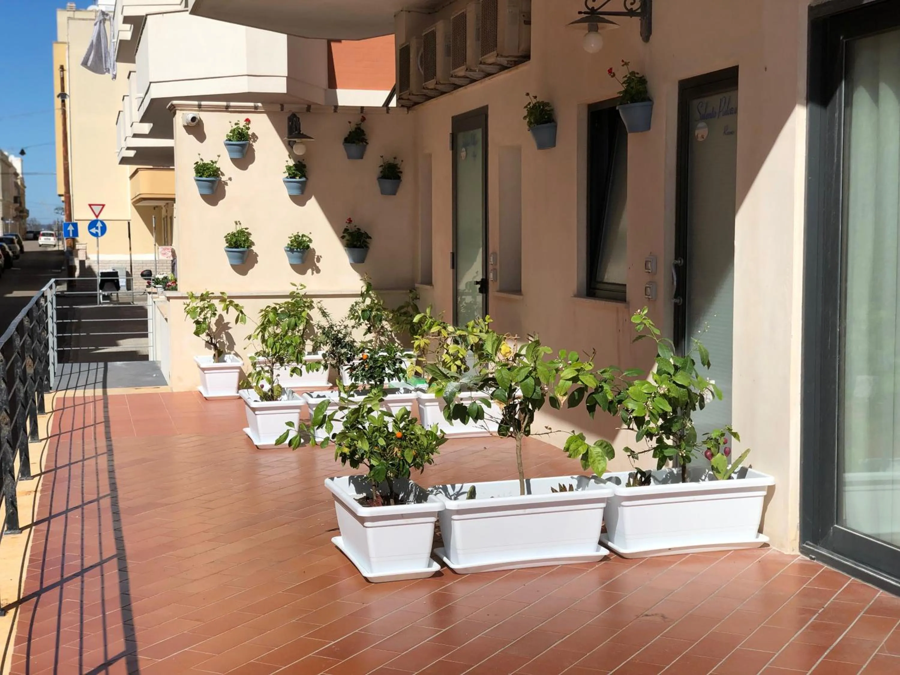 Patio in Palace Blu Mare