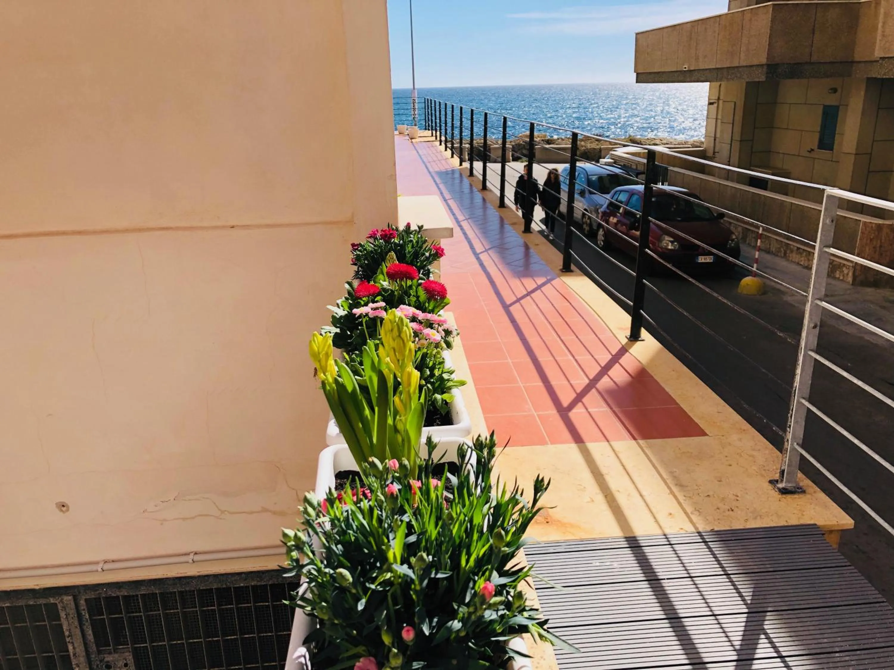 Balcony/Terrace in Palace Blu Mare