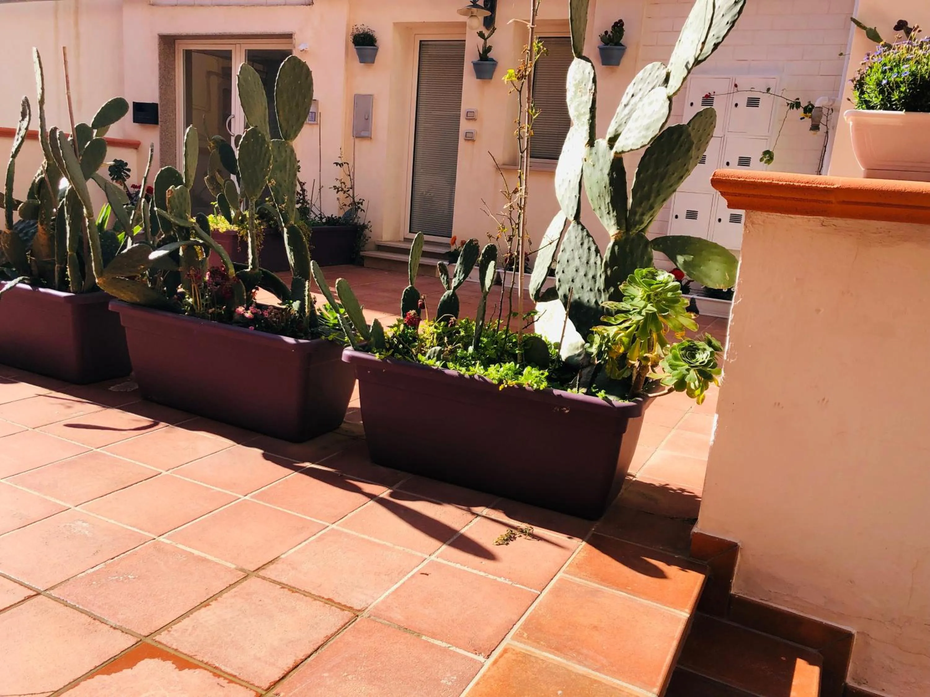 Patio in Palace Blu Mare