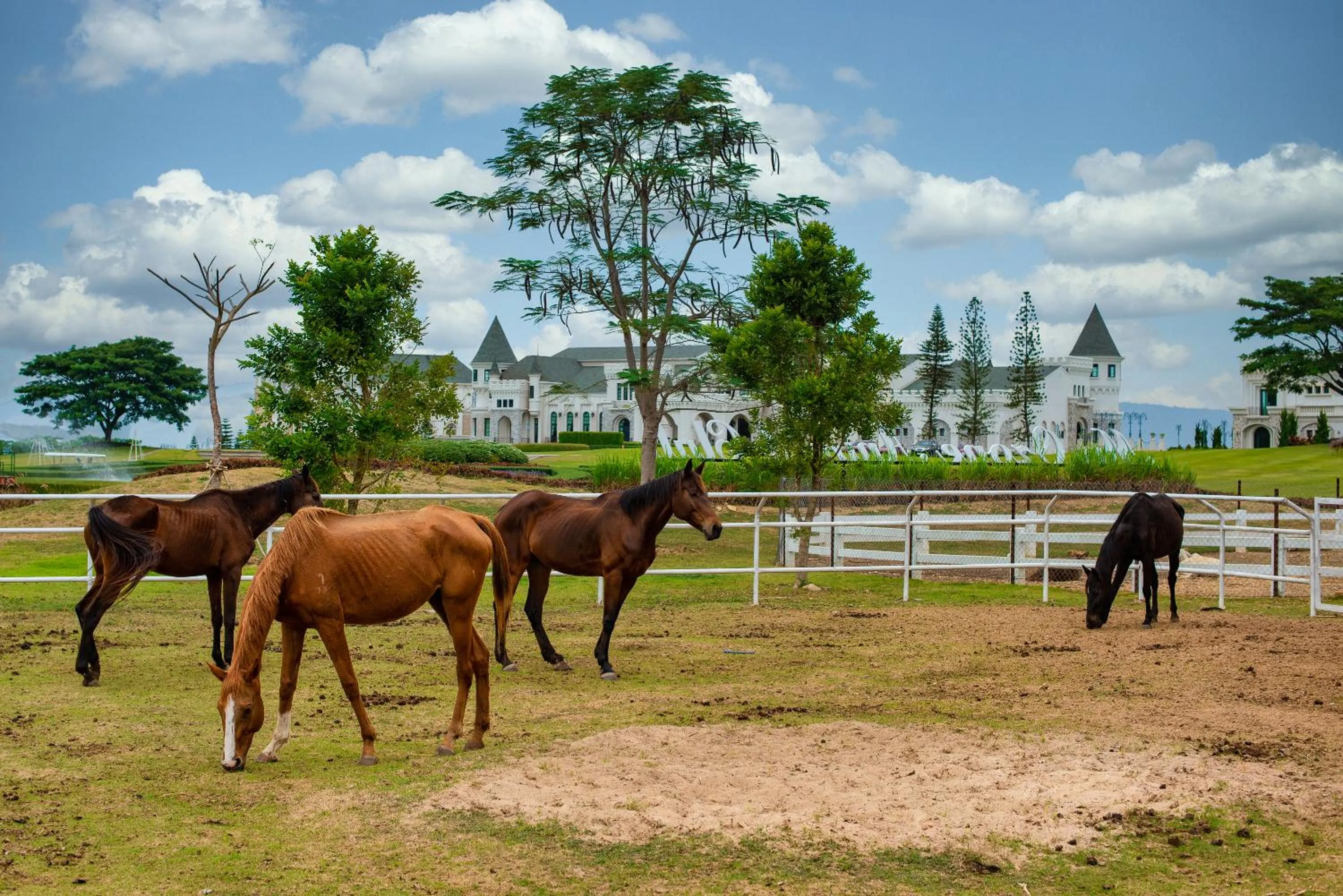 Horse-riding in Mövenpick Resort Khao Yai