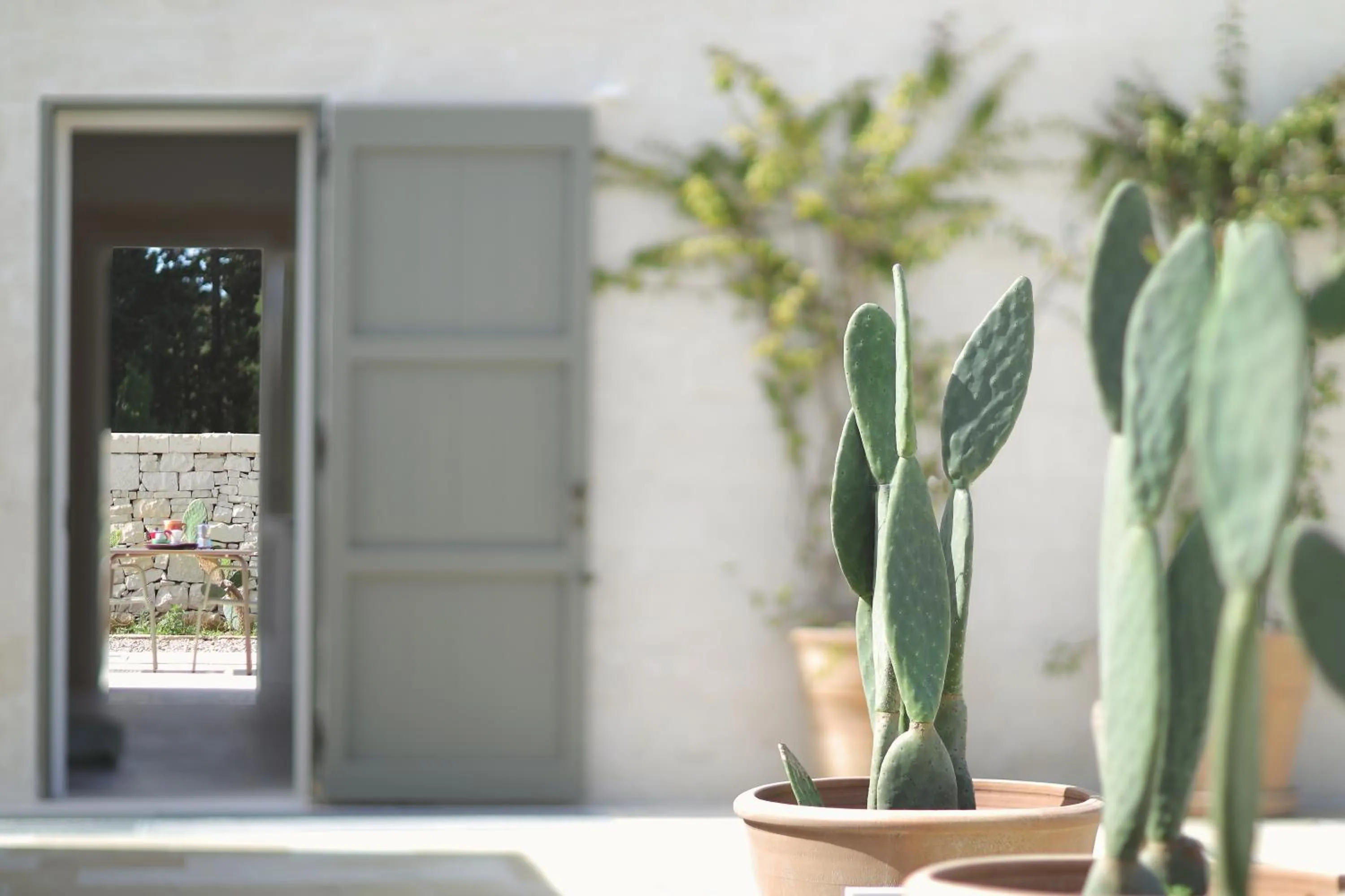 Garden in Masseria Borgo Sentinella