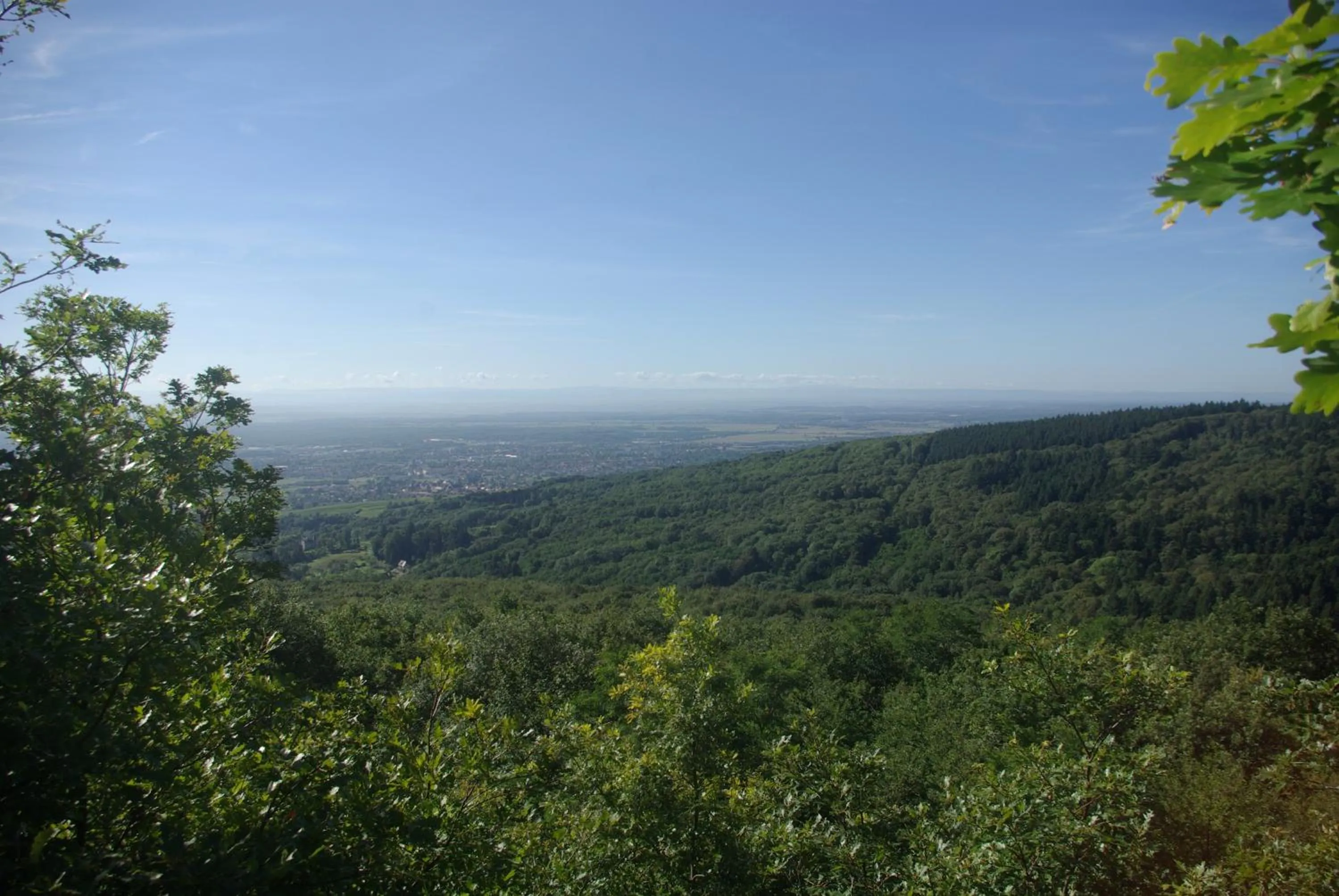 View (from property/room) in Domaine du Hirtz, Restaurant & Spa