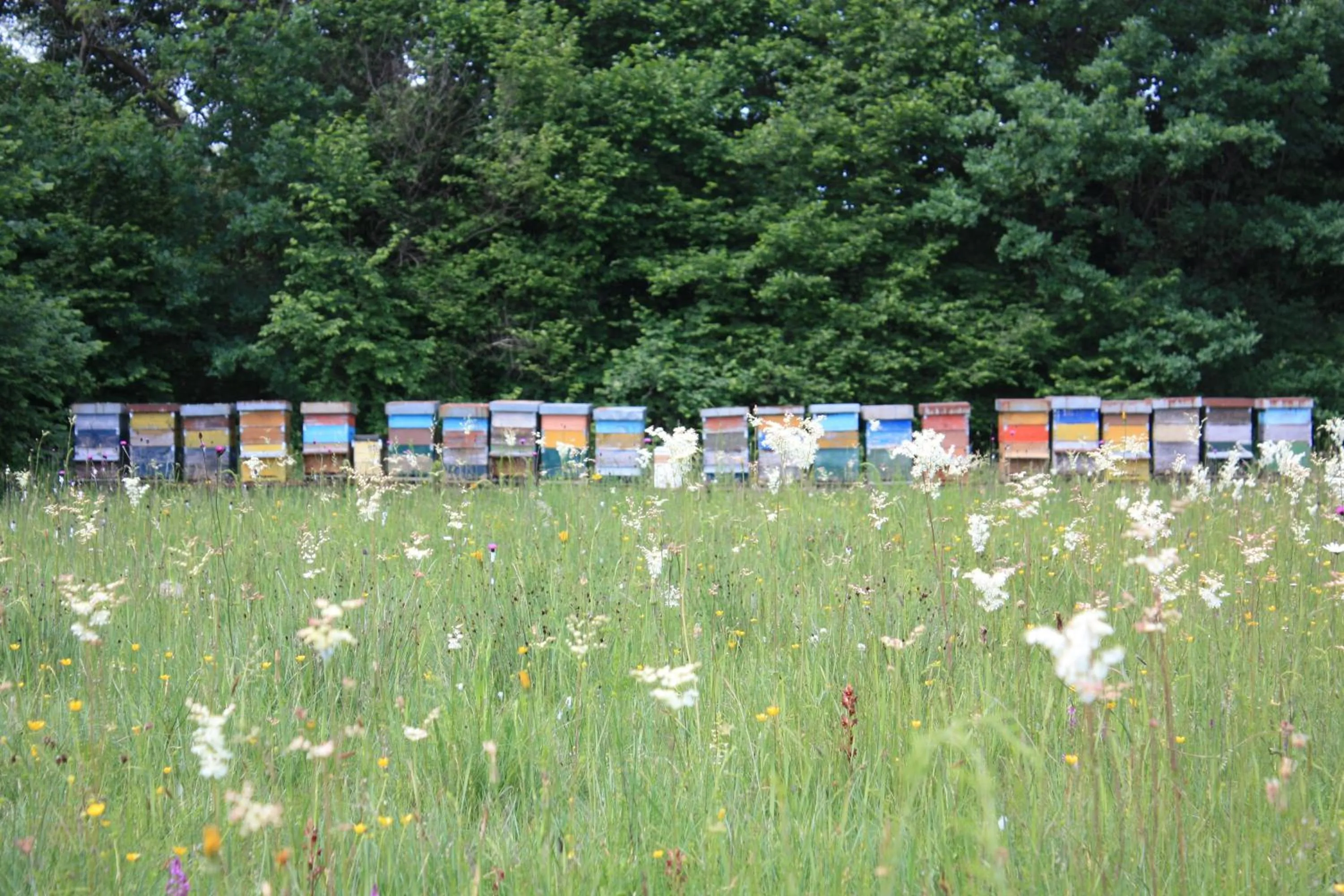 Albergo Diffuso Magredi