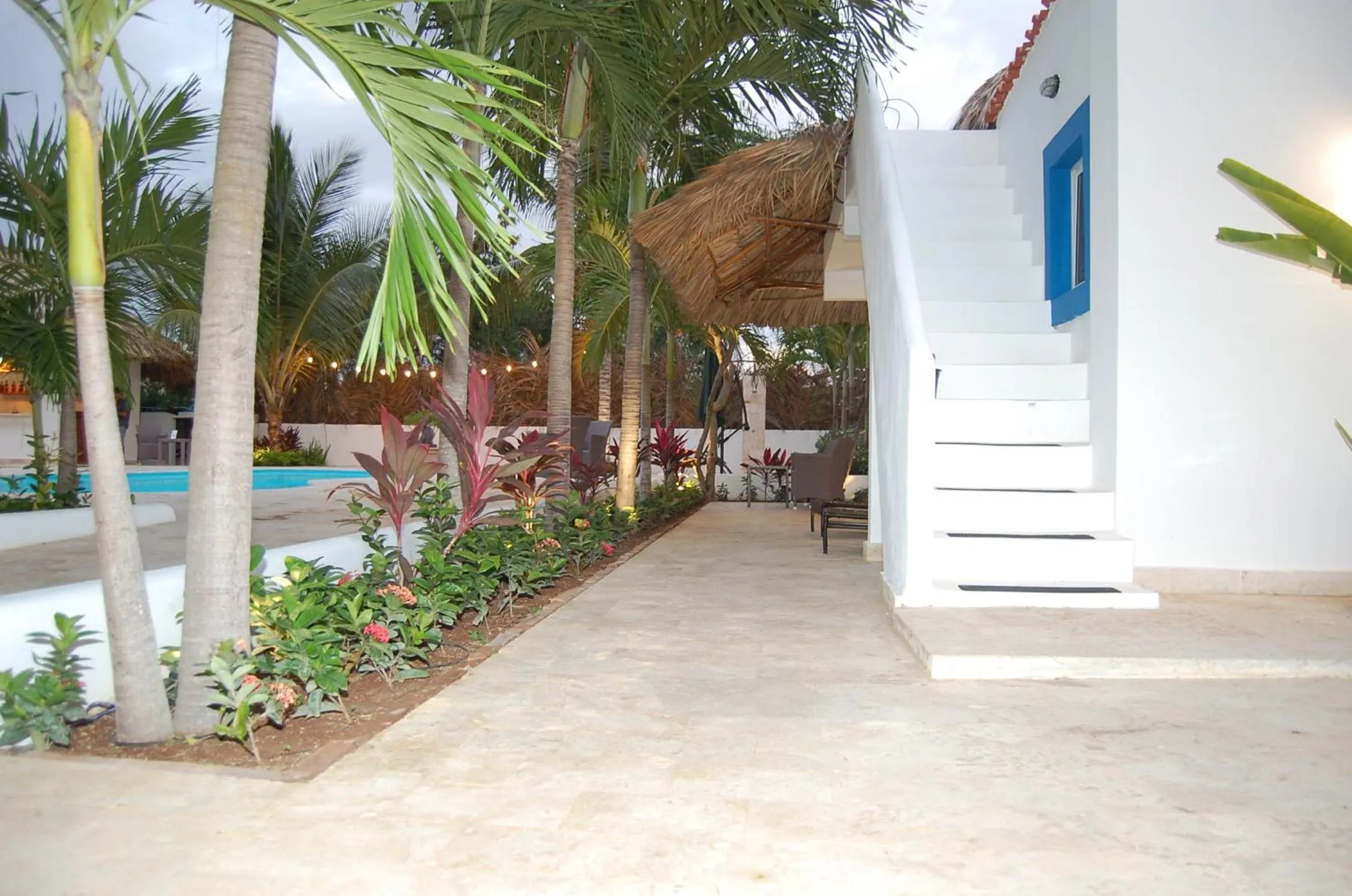 Natural landscape in Nuovo Hotel Playa Catalina