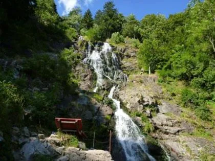 Hiking in Hotel Waldeck in Todtnau