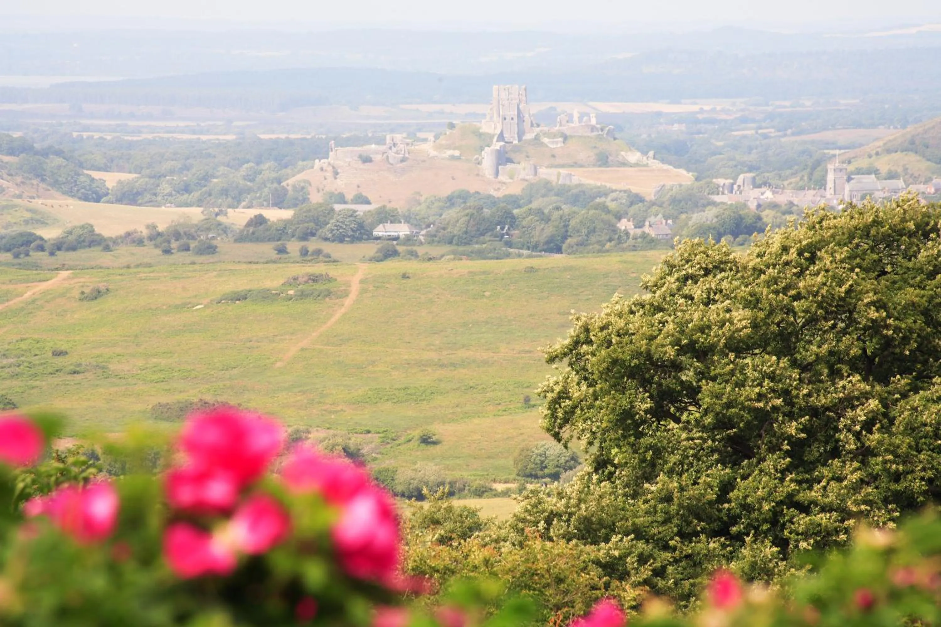 Garden view in The Scott Arms