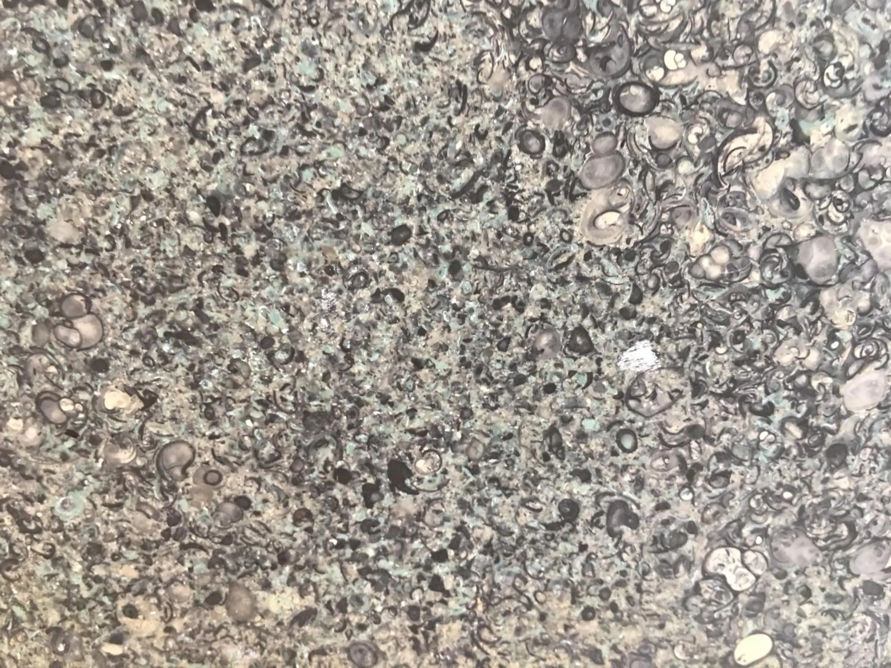 Decorative detail in The Scott Arms