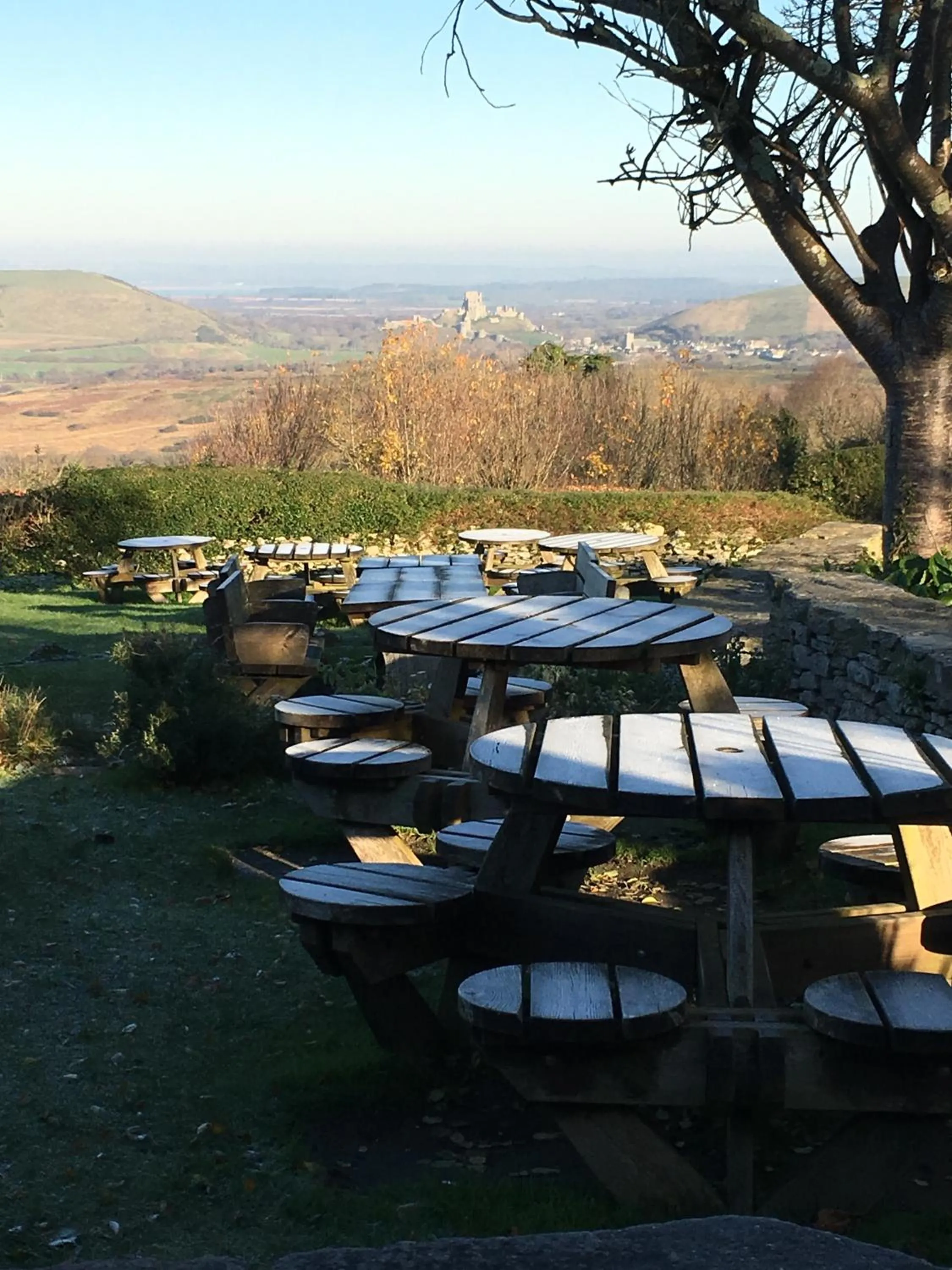 Garden view in The Scott Arms