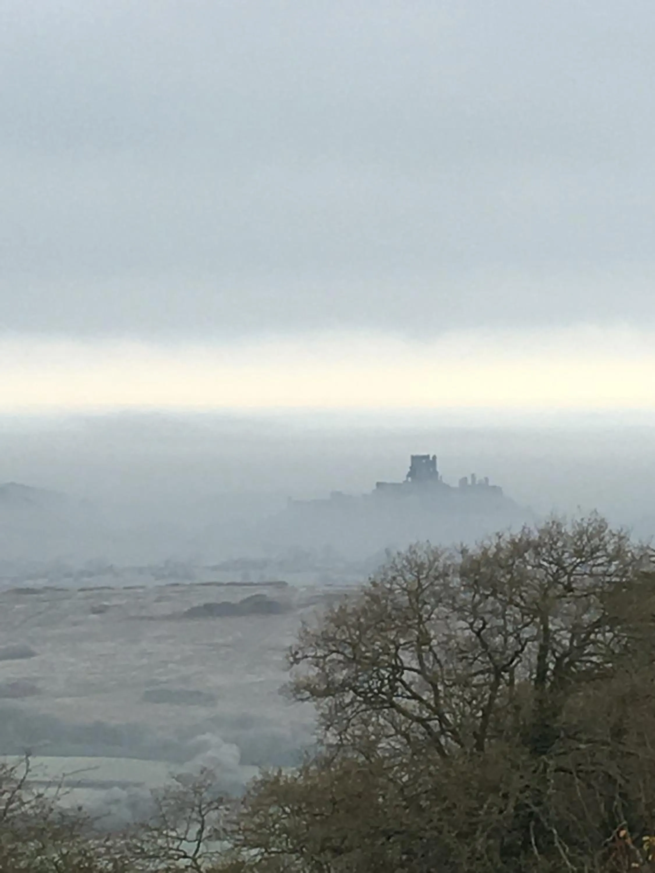 Garden view in The Scott Arms