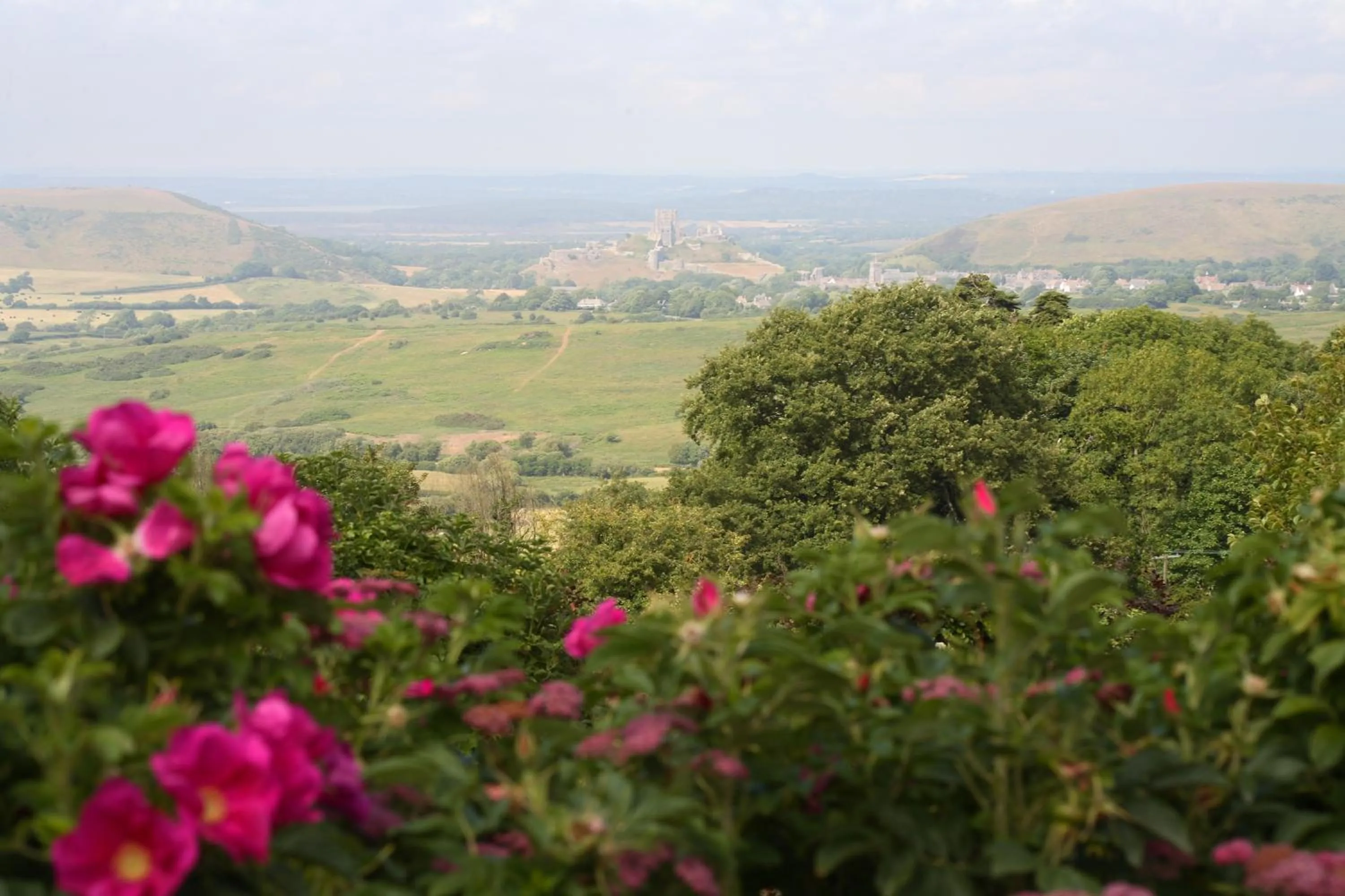 Garden view in The Scott Arms