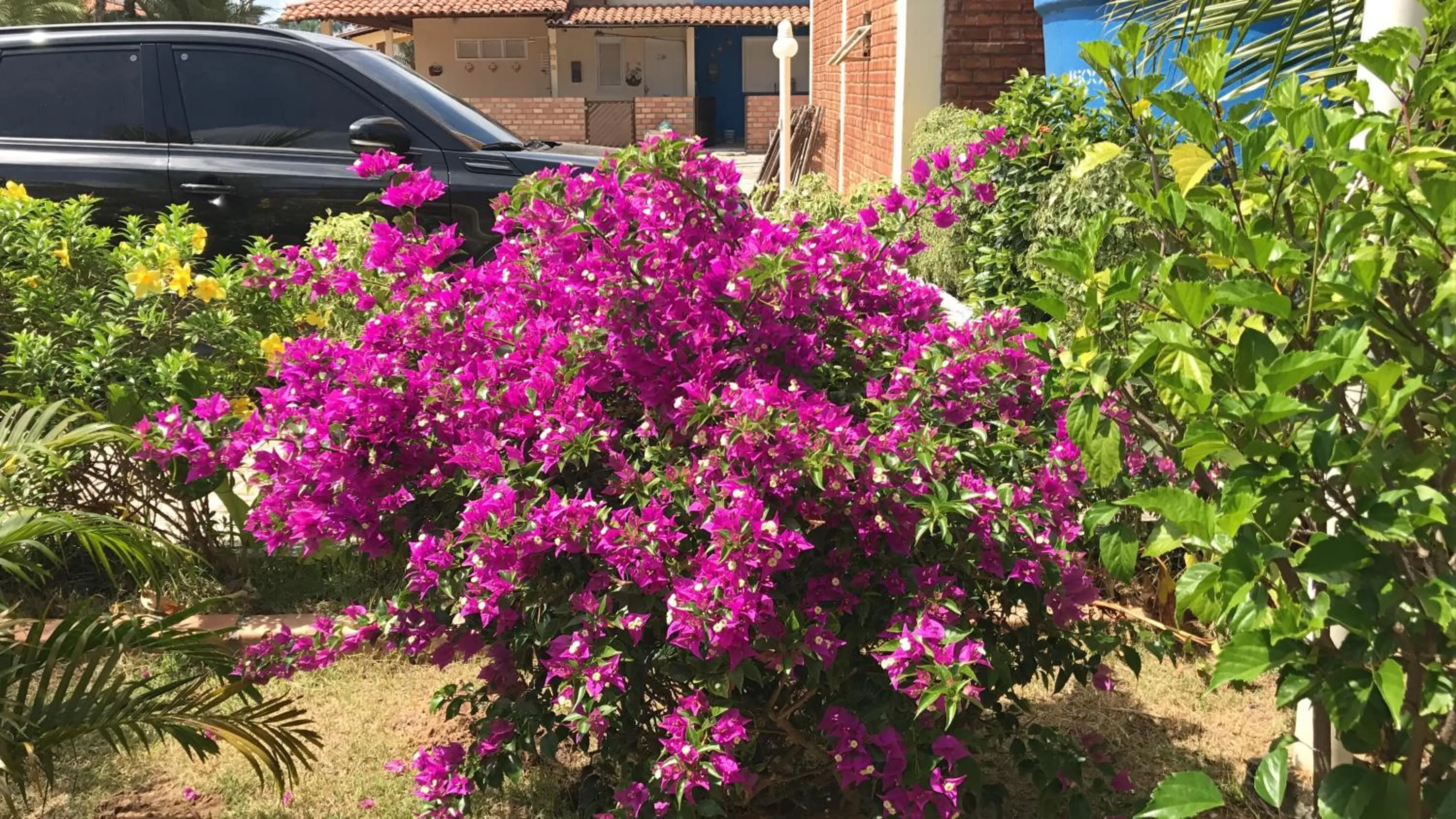 Chalé Temporada Porto dos Lençóis - Lençóis Maranhenses