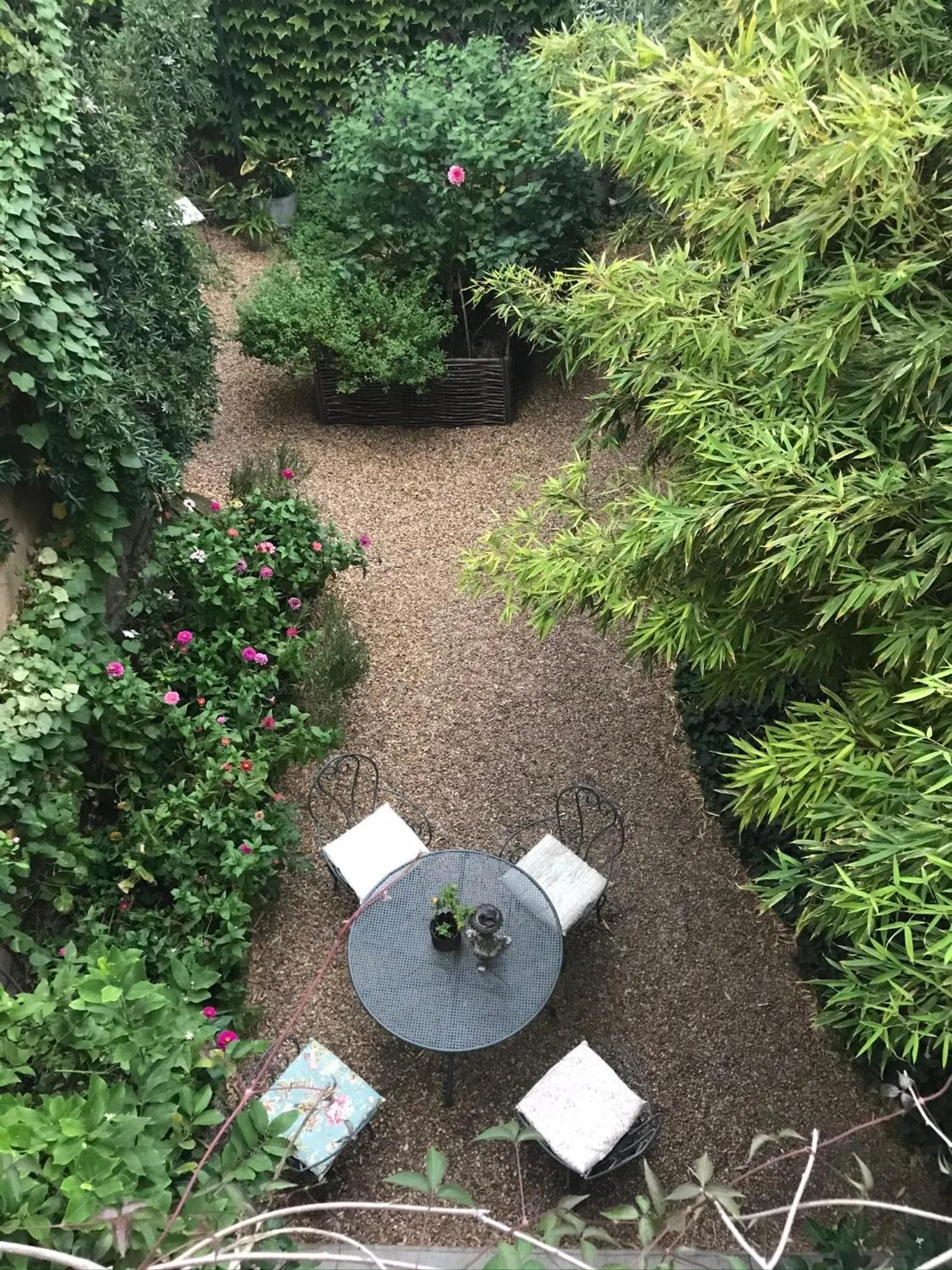 Garden in Le logis blanc bed&breakfast