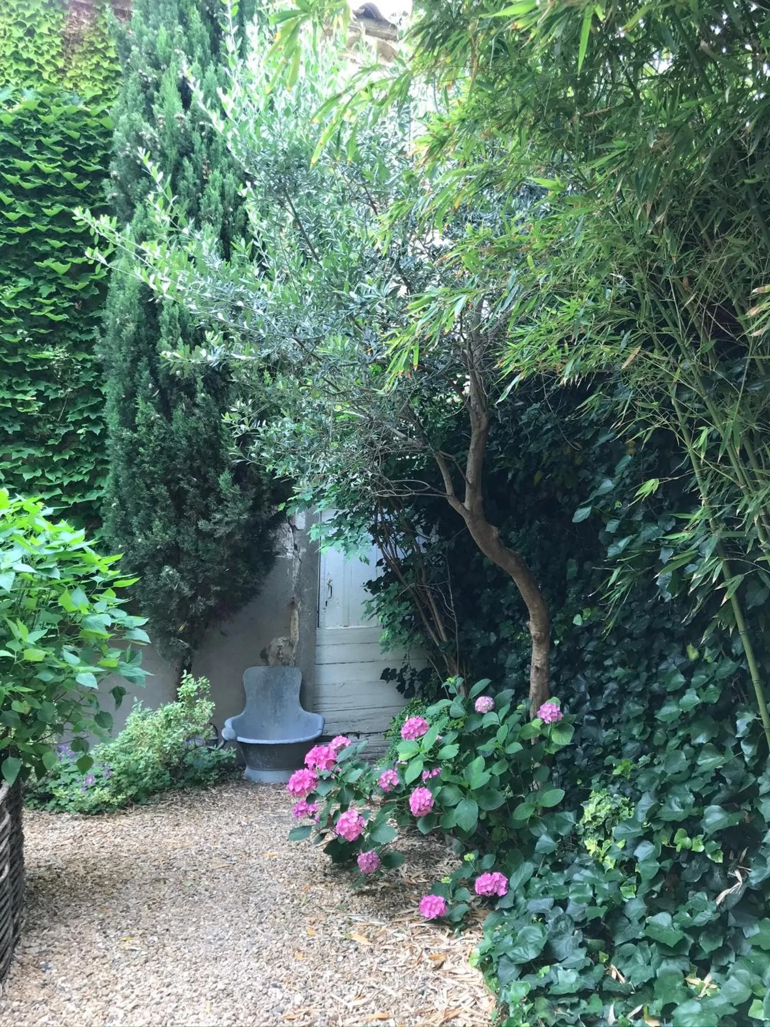 Garden in Le logis blanc bed&breakfast