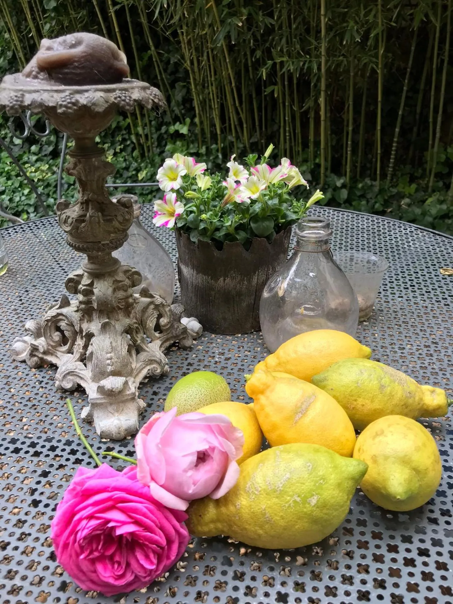 Garden in Le logis blanc bed&breakfast