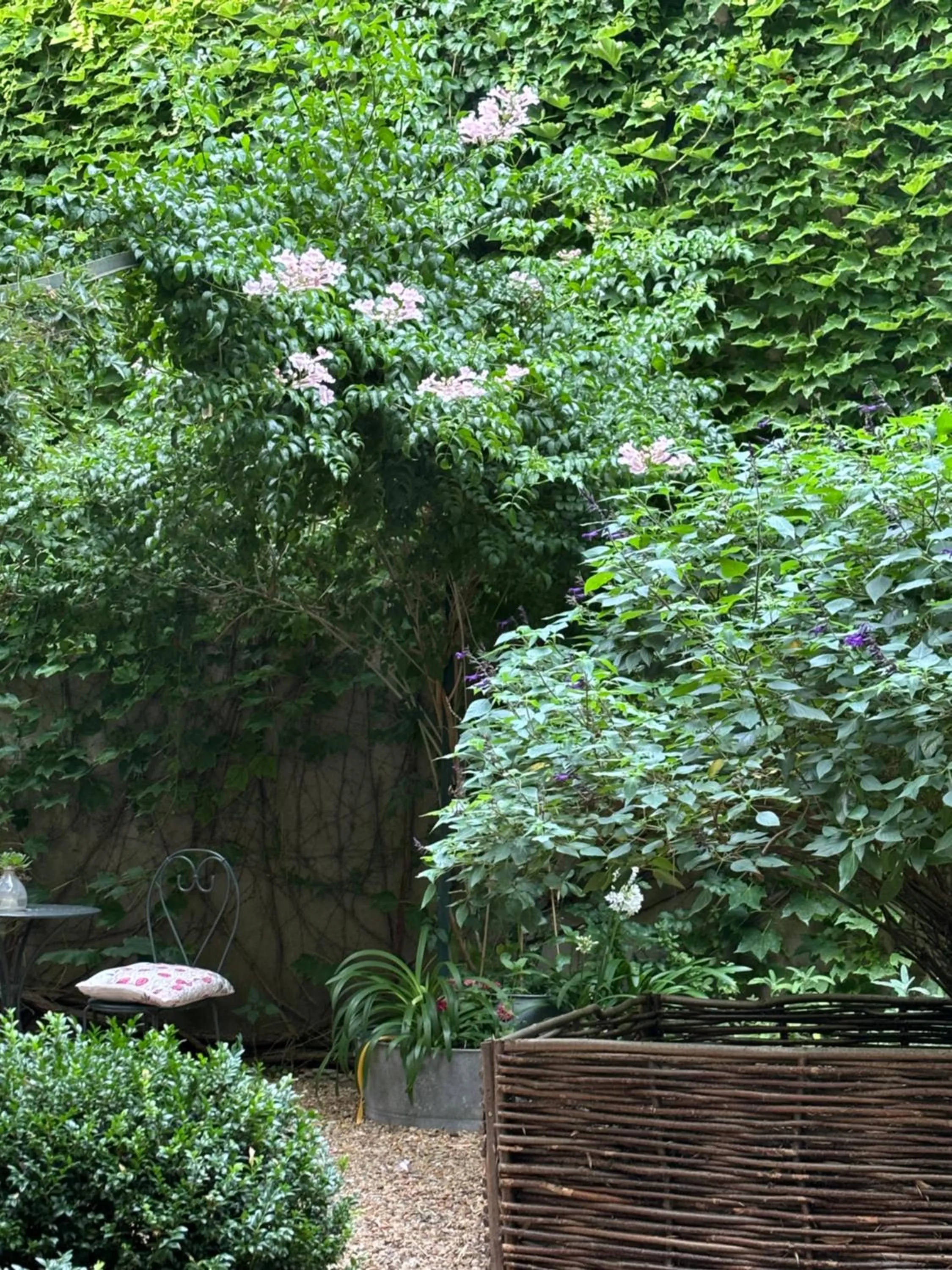 Garden in Le logis blanc bed&breakfast