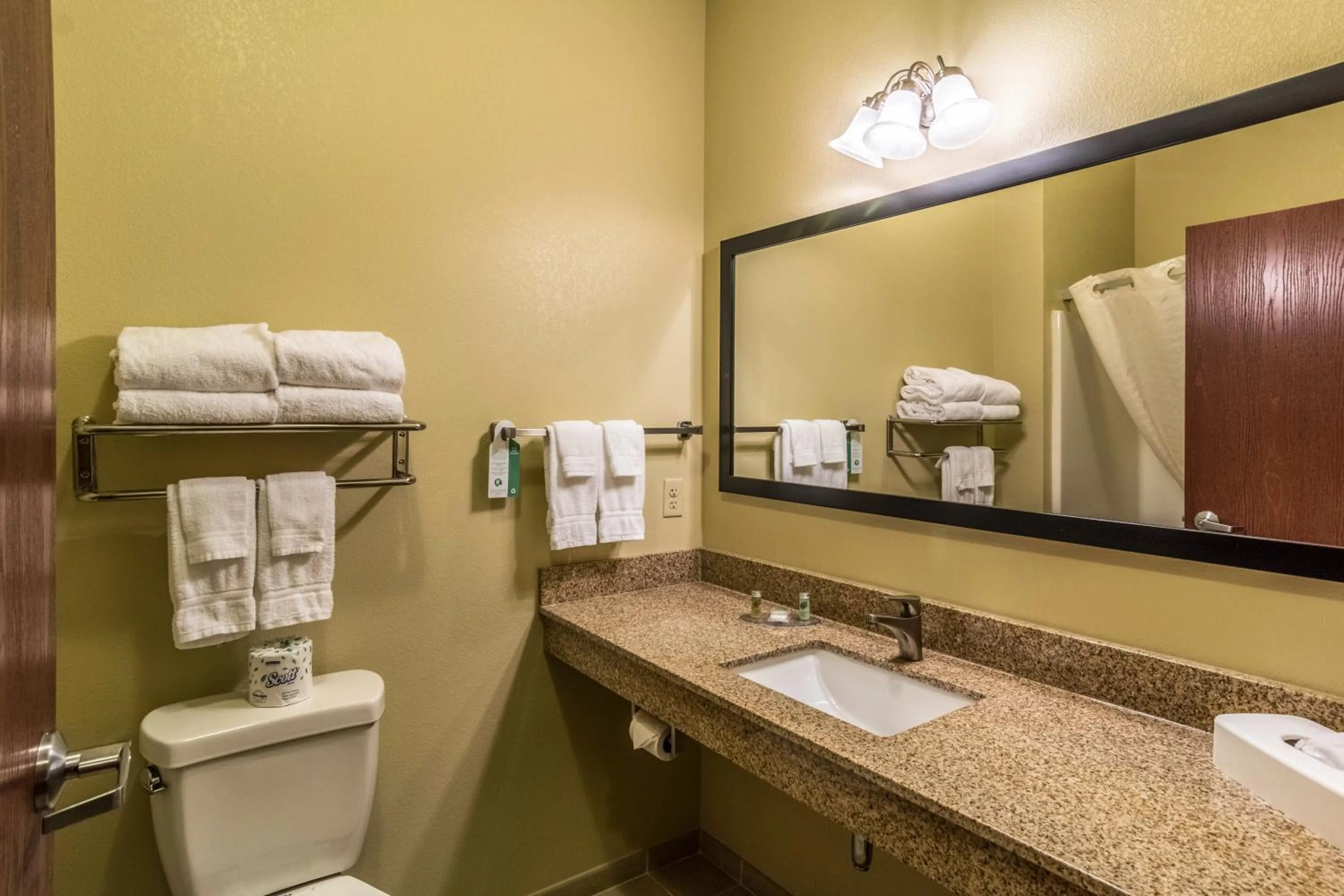 Toilet in Cobblestone Hotel & Suites - Harborcreek