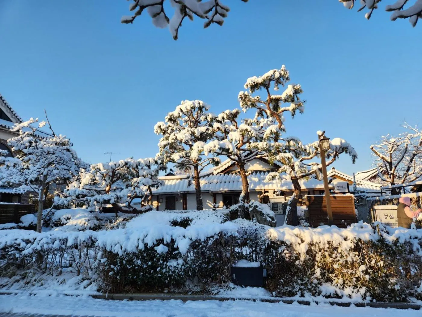Day in Sungsim Hanok Guesthouse