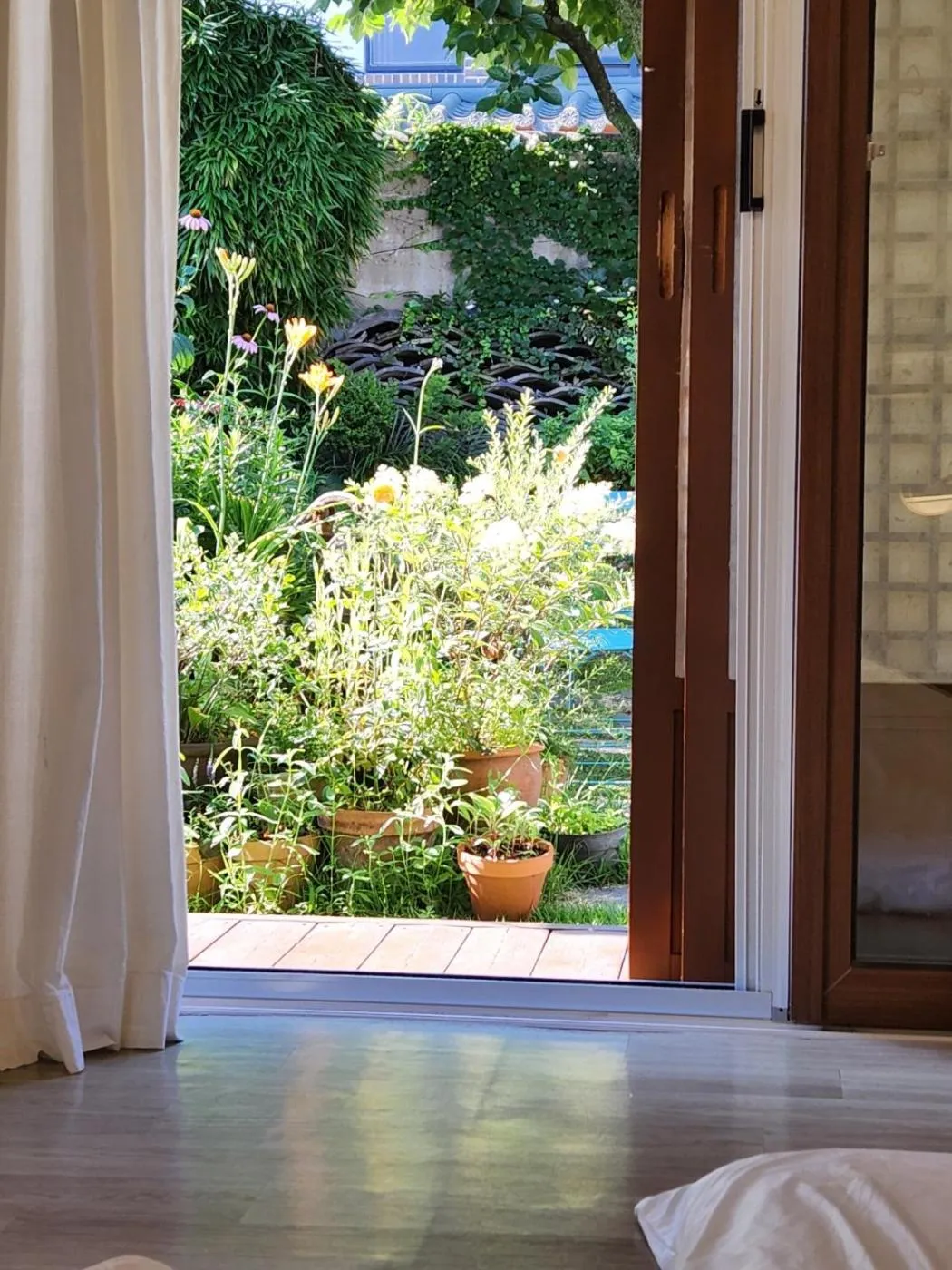 Garden in Sungsim Hanok Guesthouse