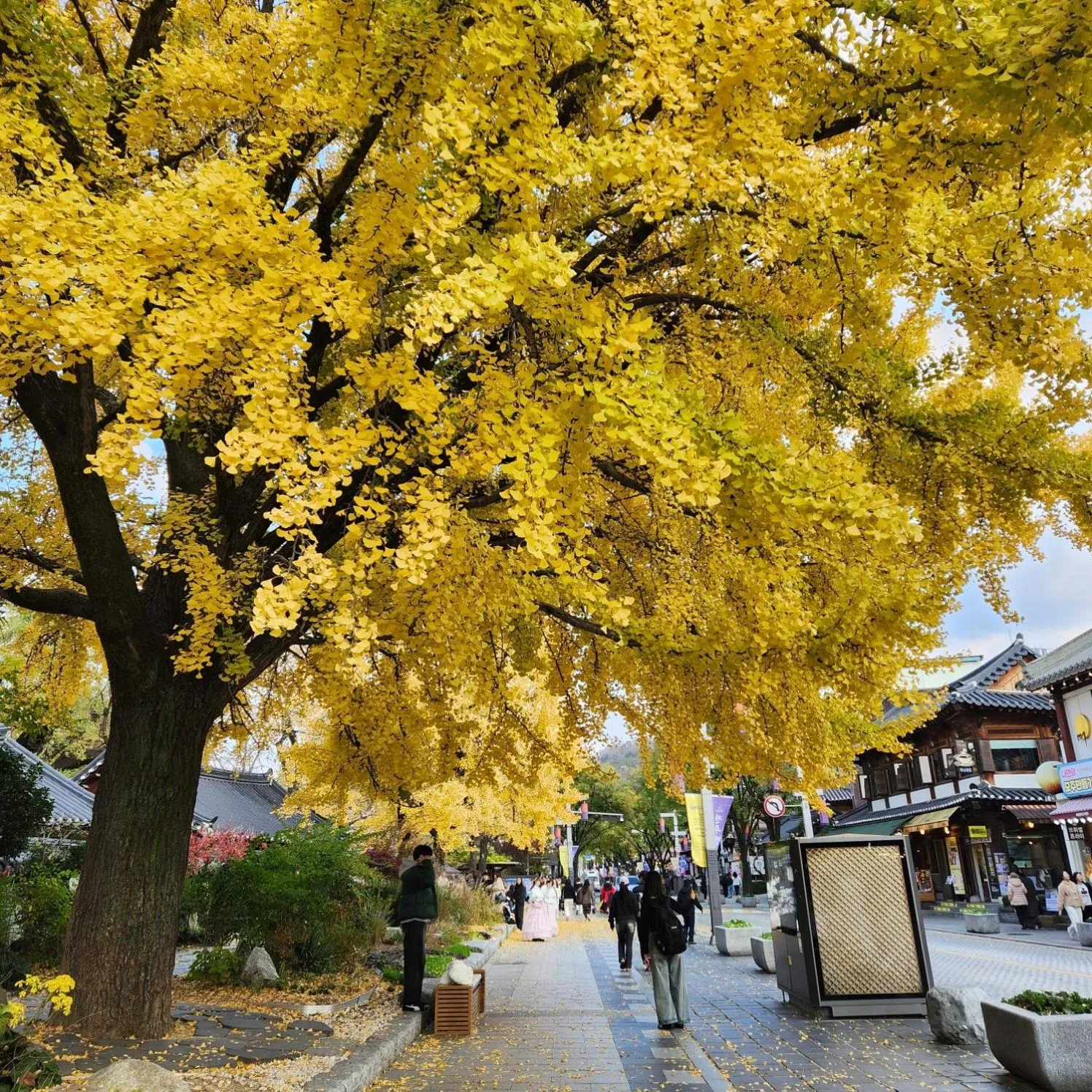 Neighbourhood in Sungsim Hanok Guesthouse