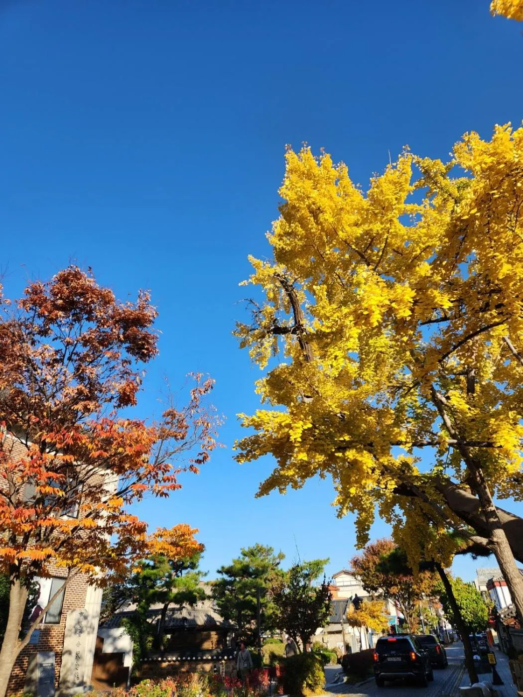 Nearby landmark in Sungsim Hanok Guesthouse