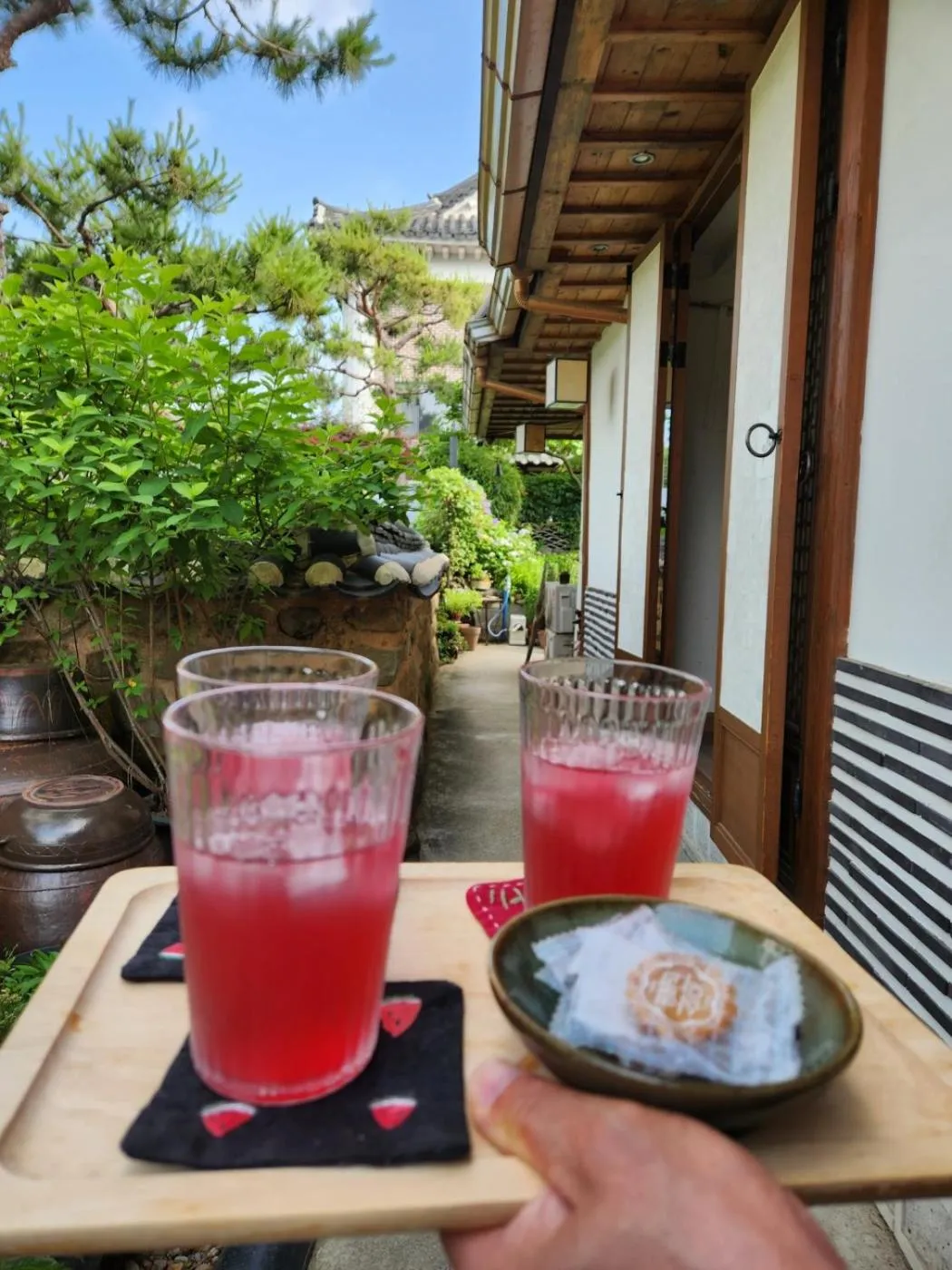 Day in Sungsim Hanok Guesthouse