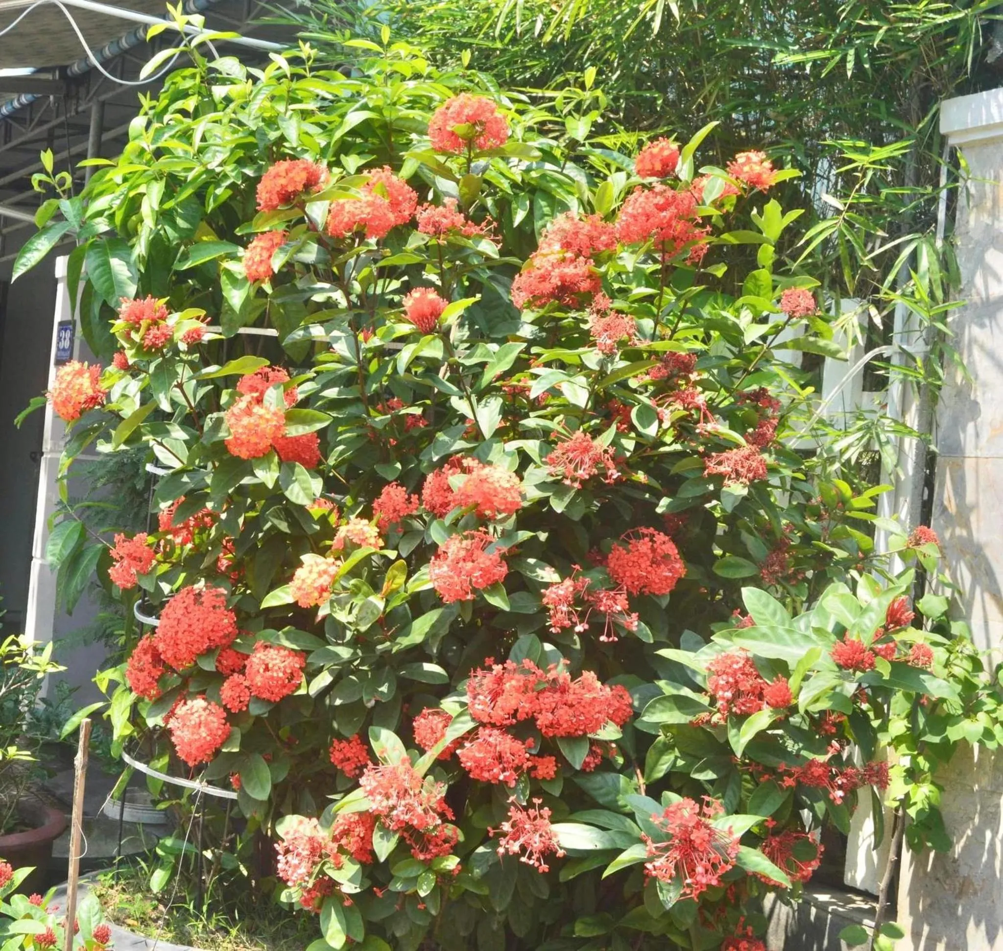 Property building in The House 36