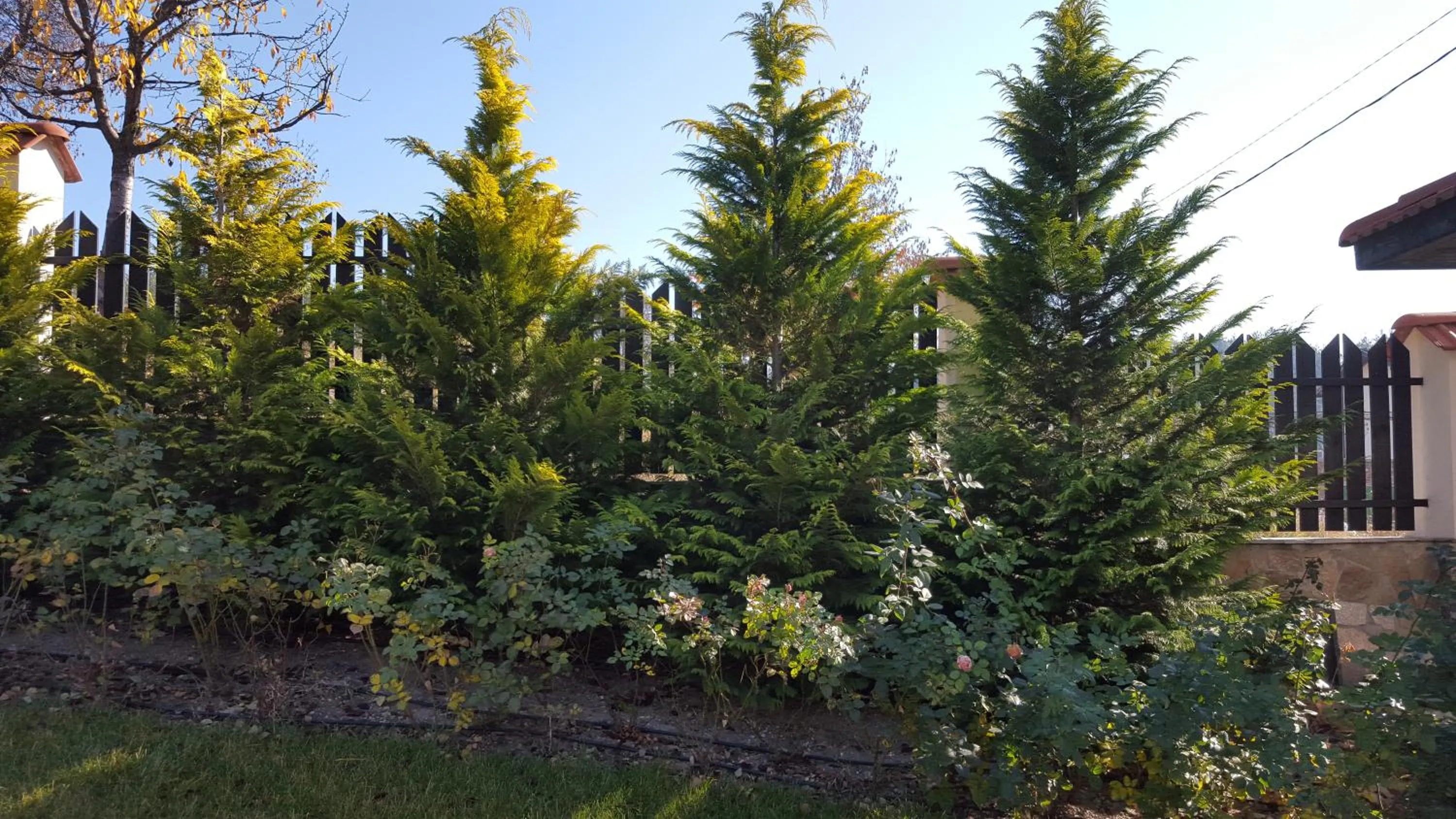 Garden in Holiday Village COOP Dobrinishte