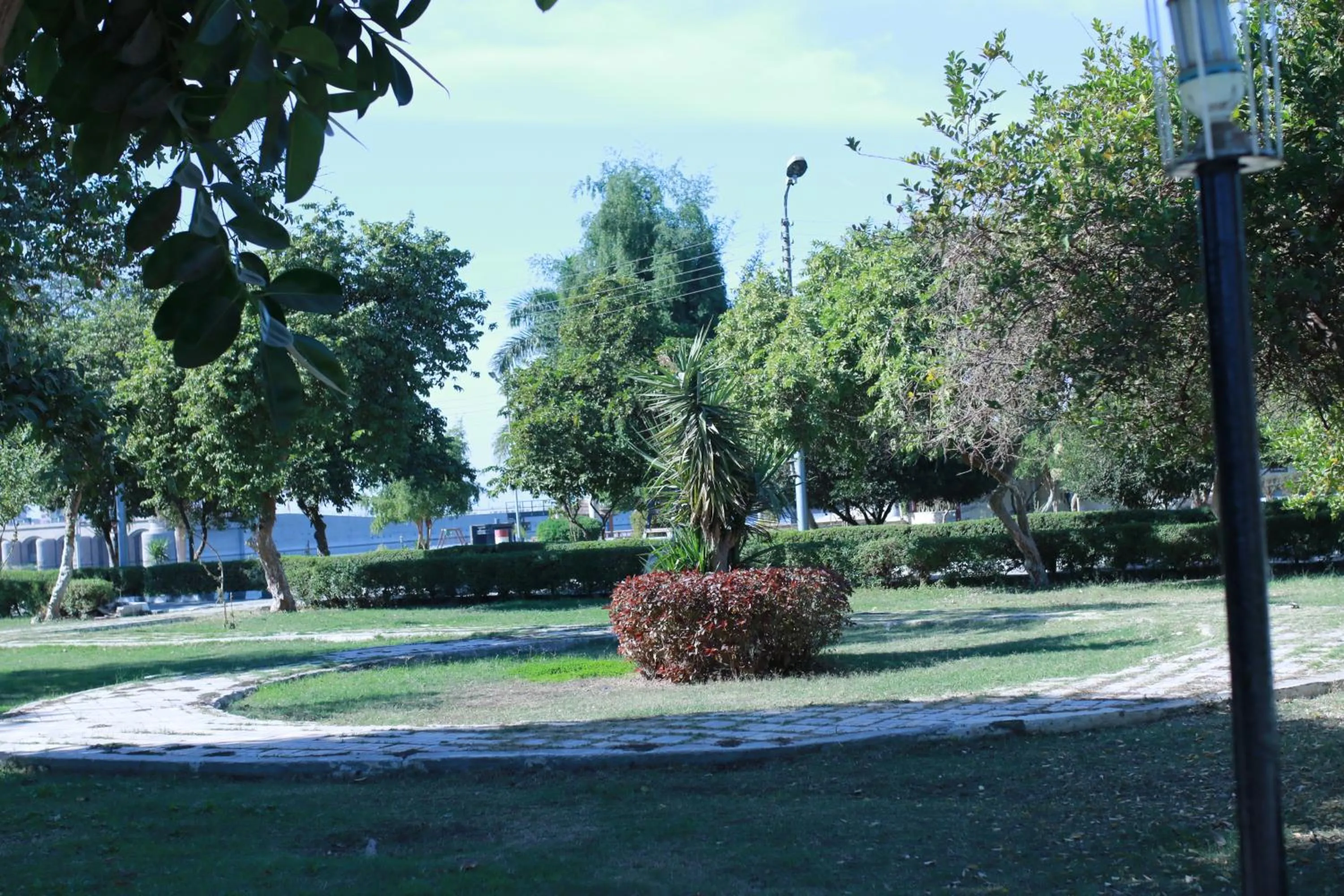 Garden in Jewel Assiut Hotel