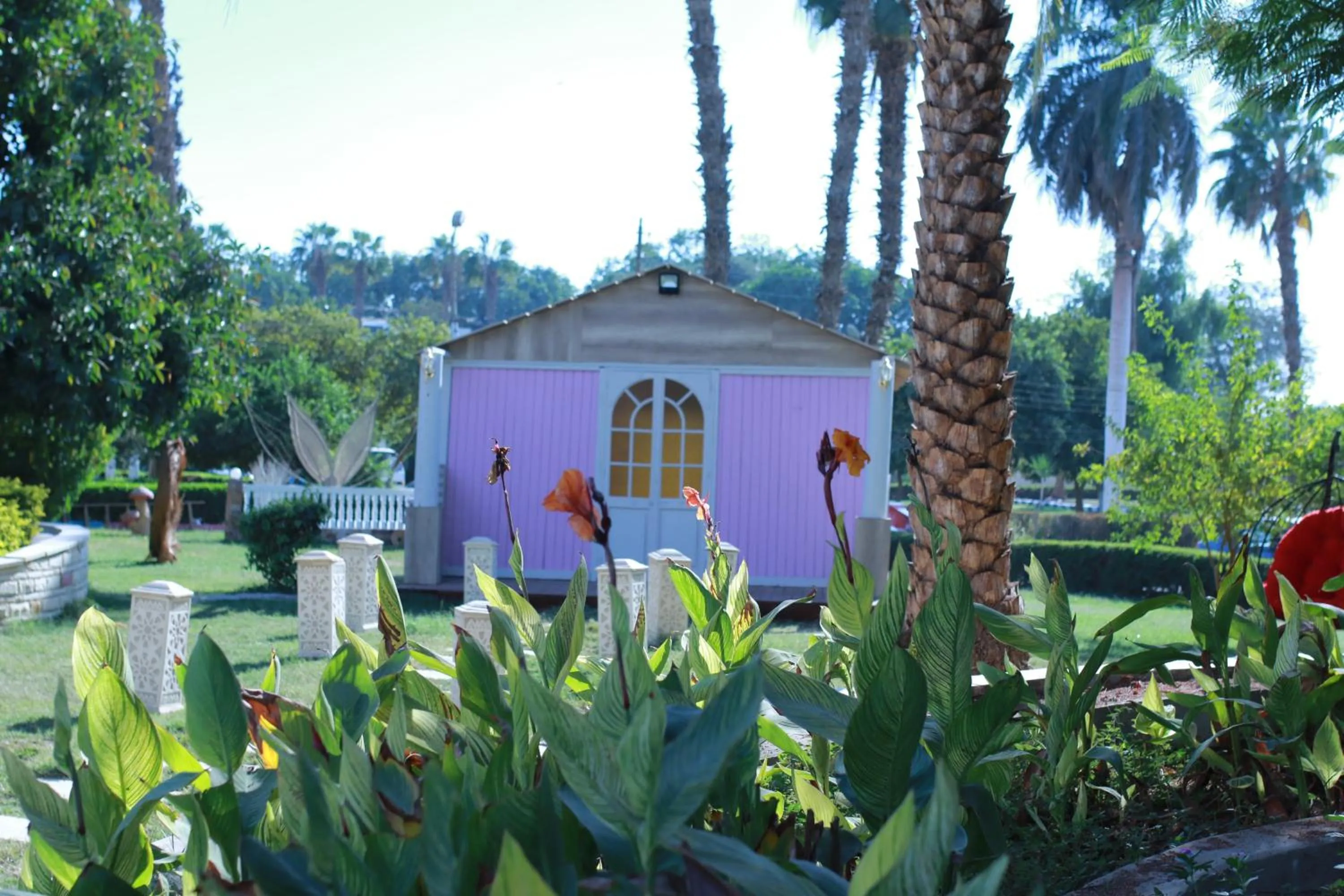 Garden in Jewel Assiut Hotel