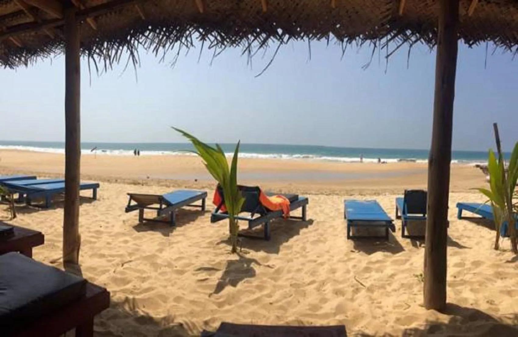 Beach in Mary's Palm Garden