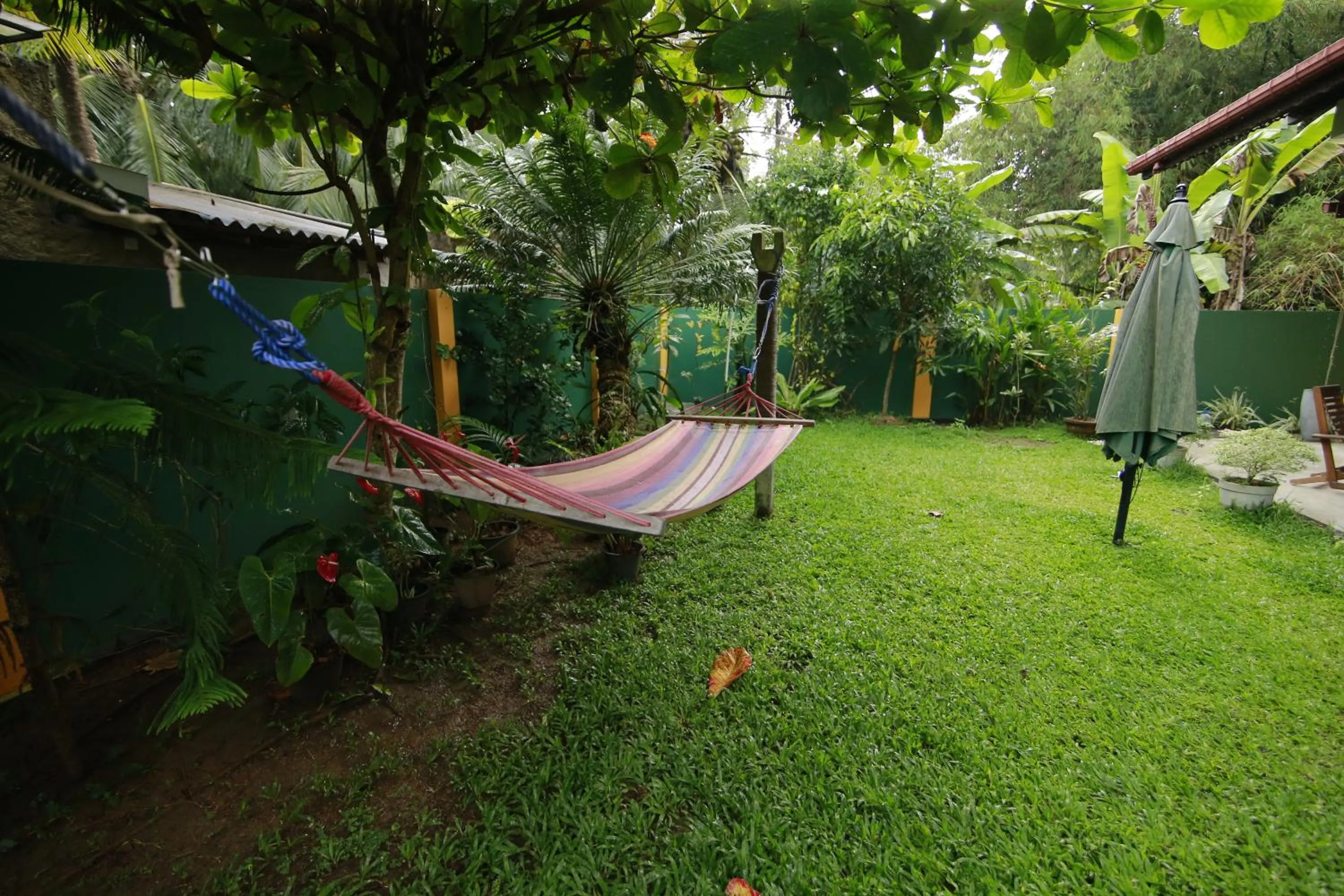 Mary's Palm Garden