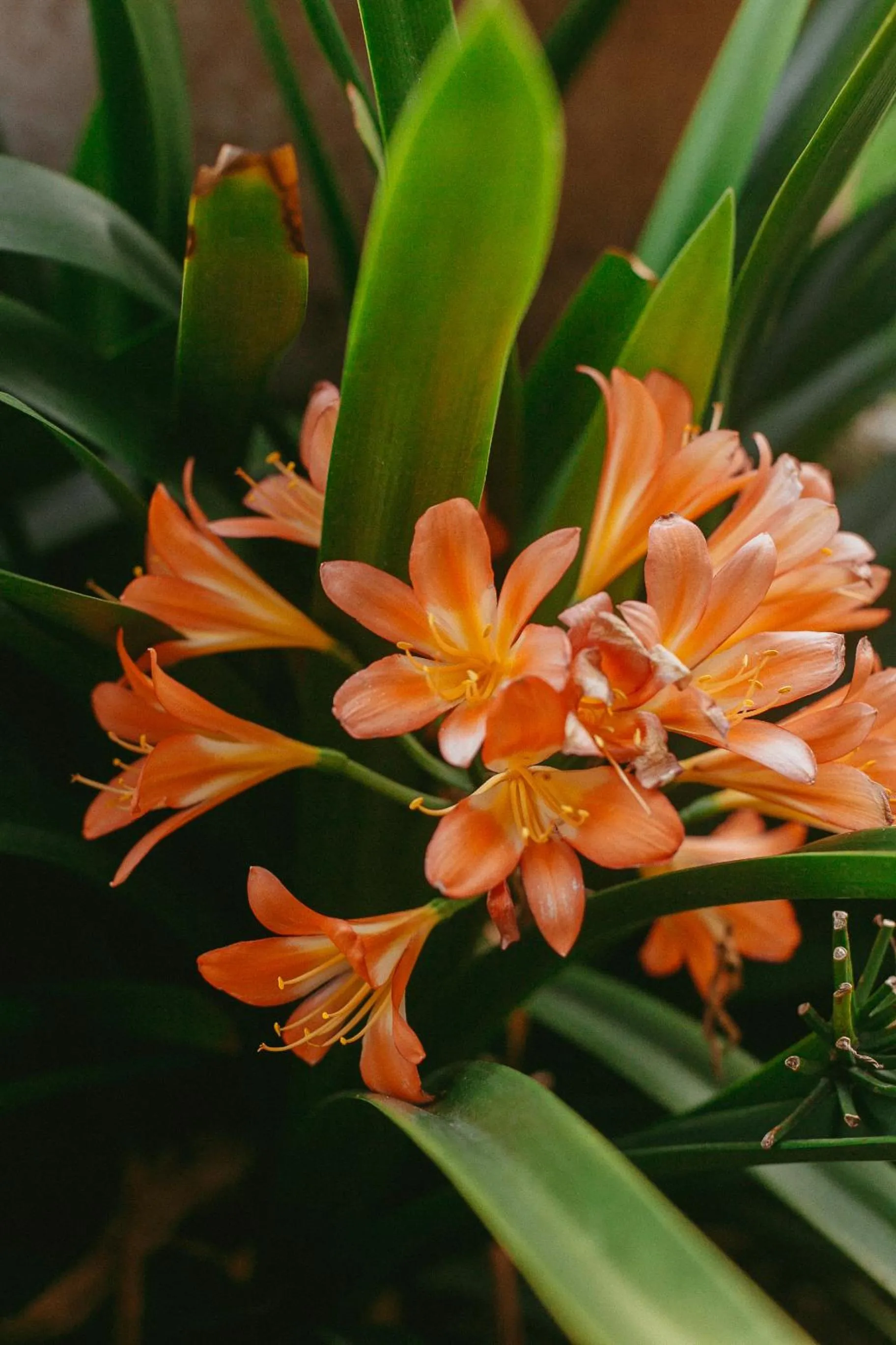 Quinta Cielo - Hotel Boutique y Restaurante