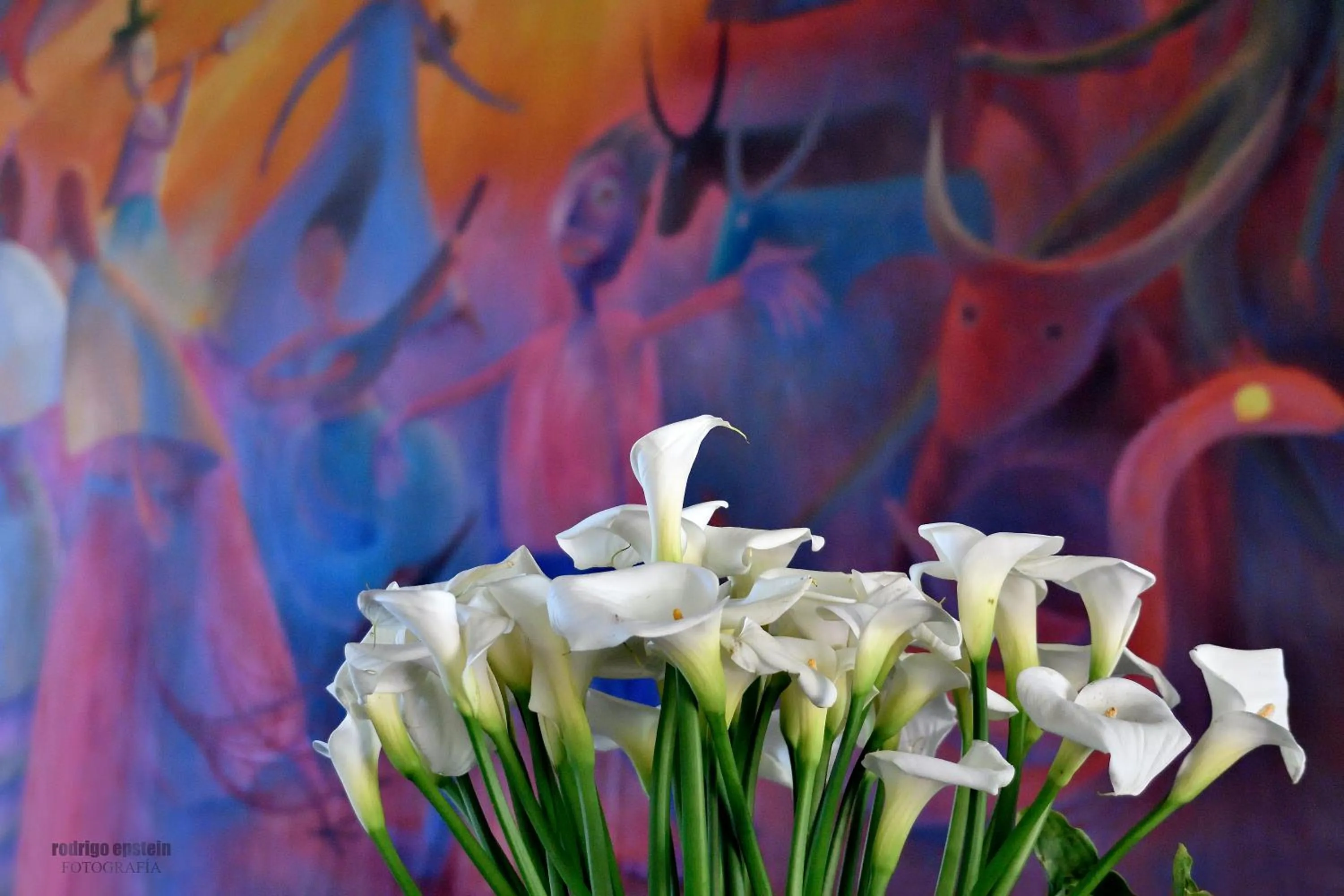 Quinta Cielo - Hotel Boutique y Restaurante