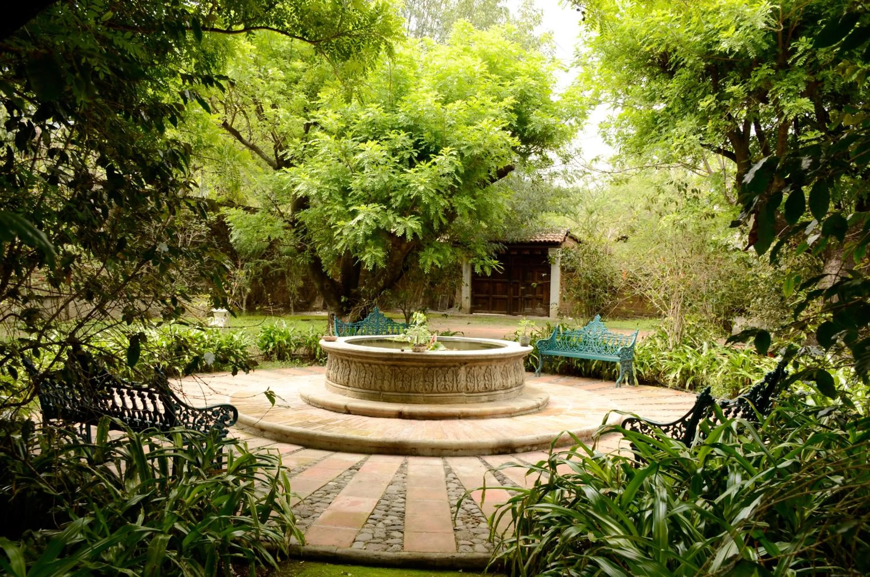 Garden in Quinta Cielo - Hotel Boutique y Restaurante