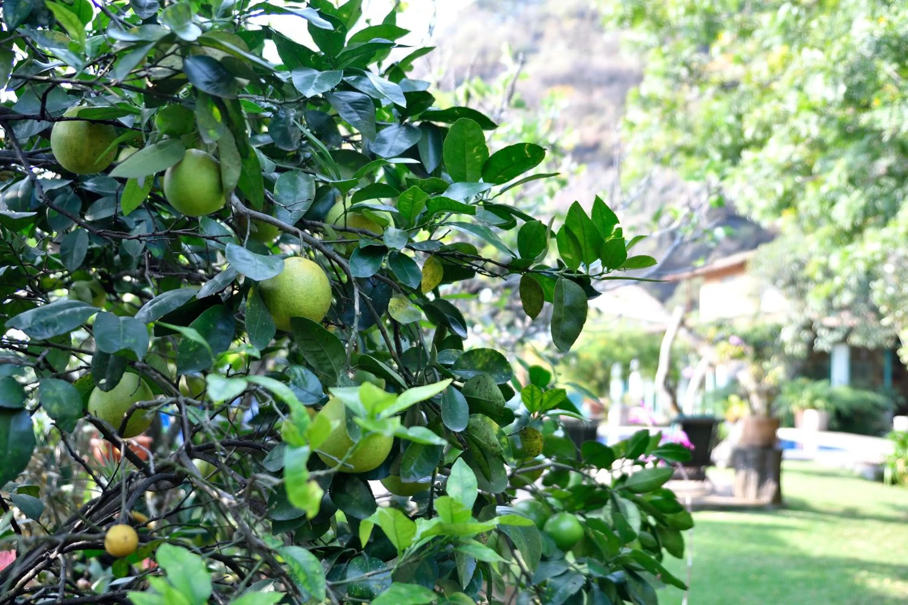 Quinta Cielo - Hotel Boutique y Restaurante