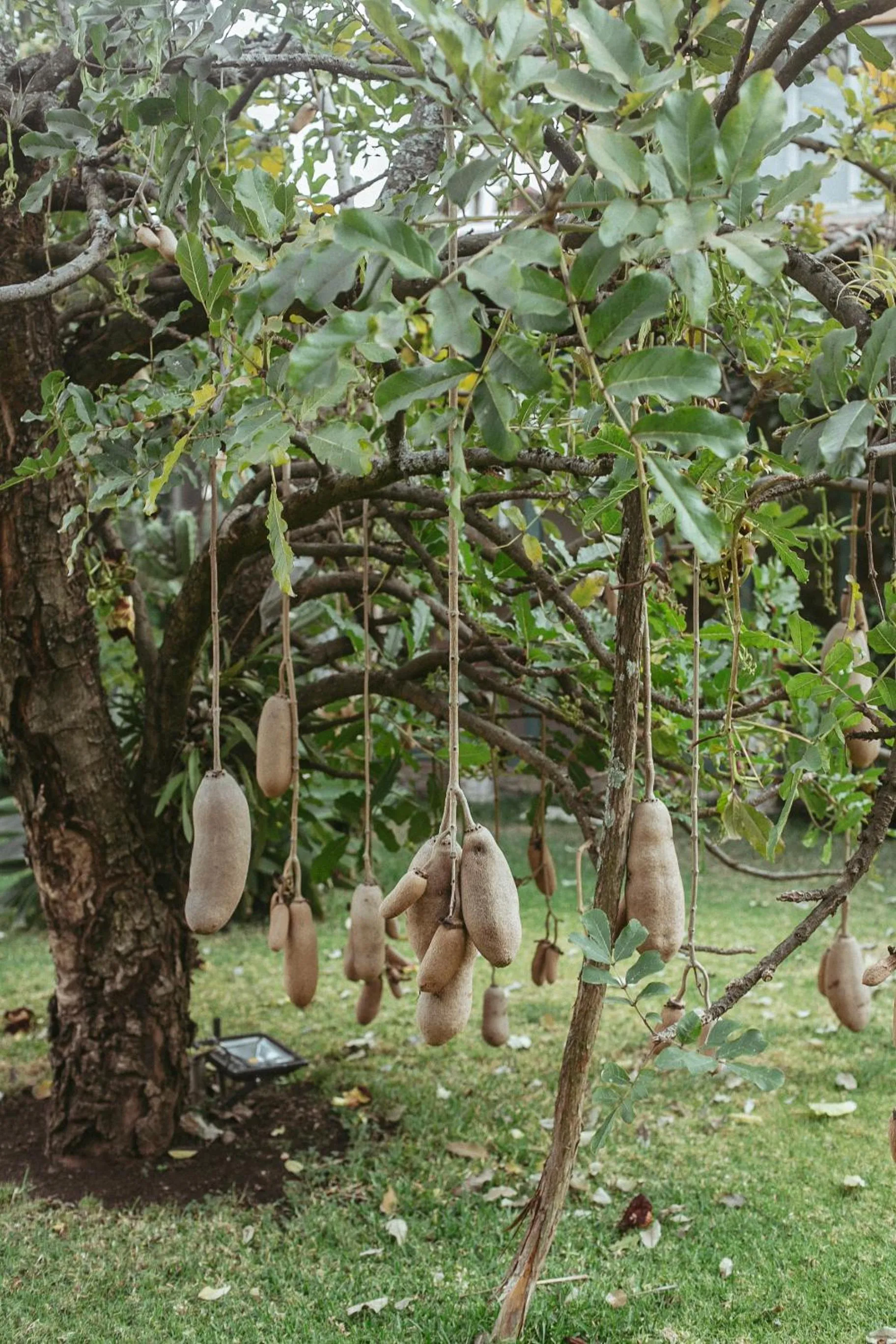 Quinta Cielo - Hotel Boutique y Restaurante