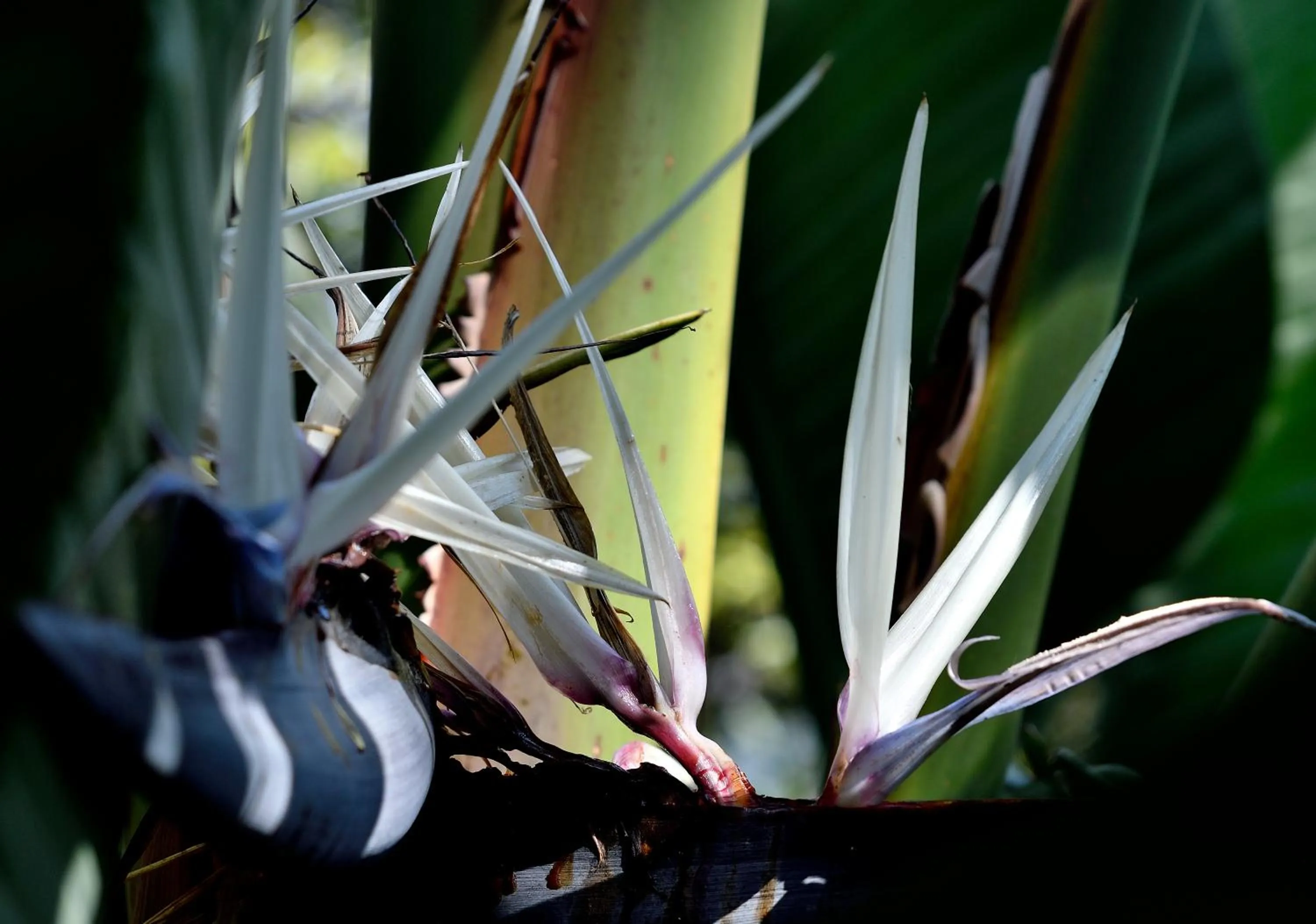 Quinta Cielo - Hotel Boutique y Restaurante