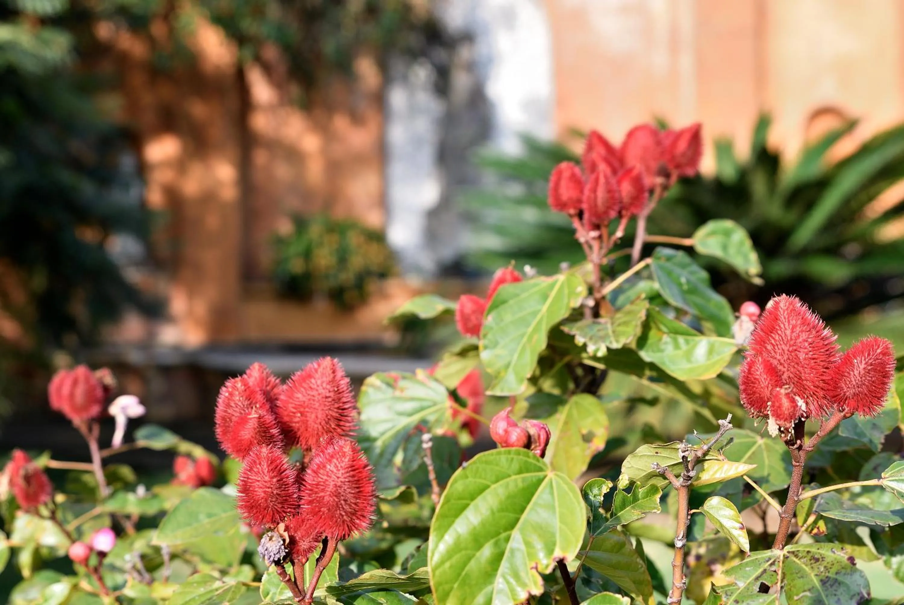 Quinta Cielo - Hotel Boutique y Restaurante