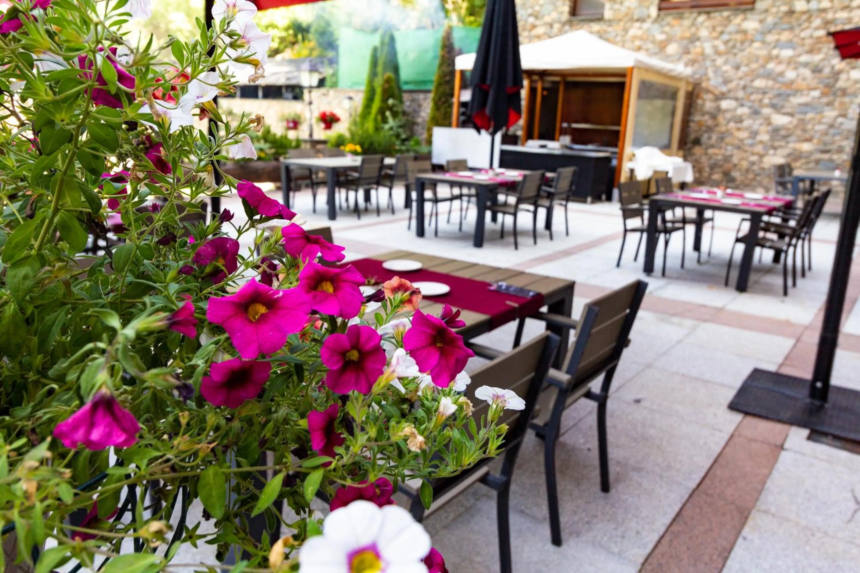Balcony/Terrace in Sport Hotel Village
