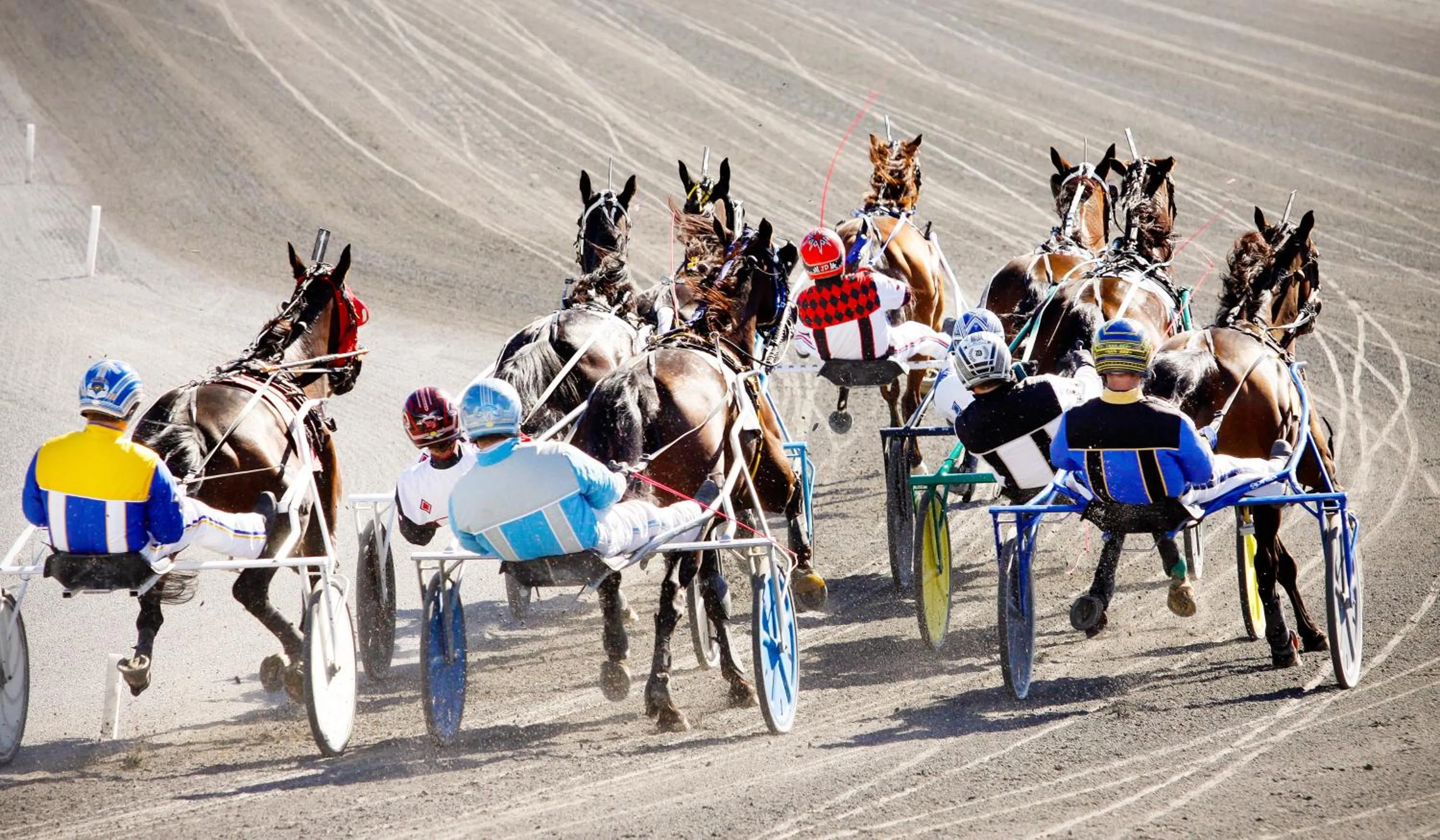 Other in Saratoga Casino Hotel