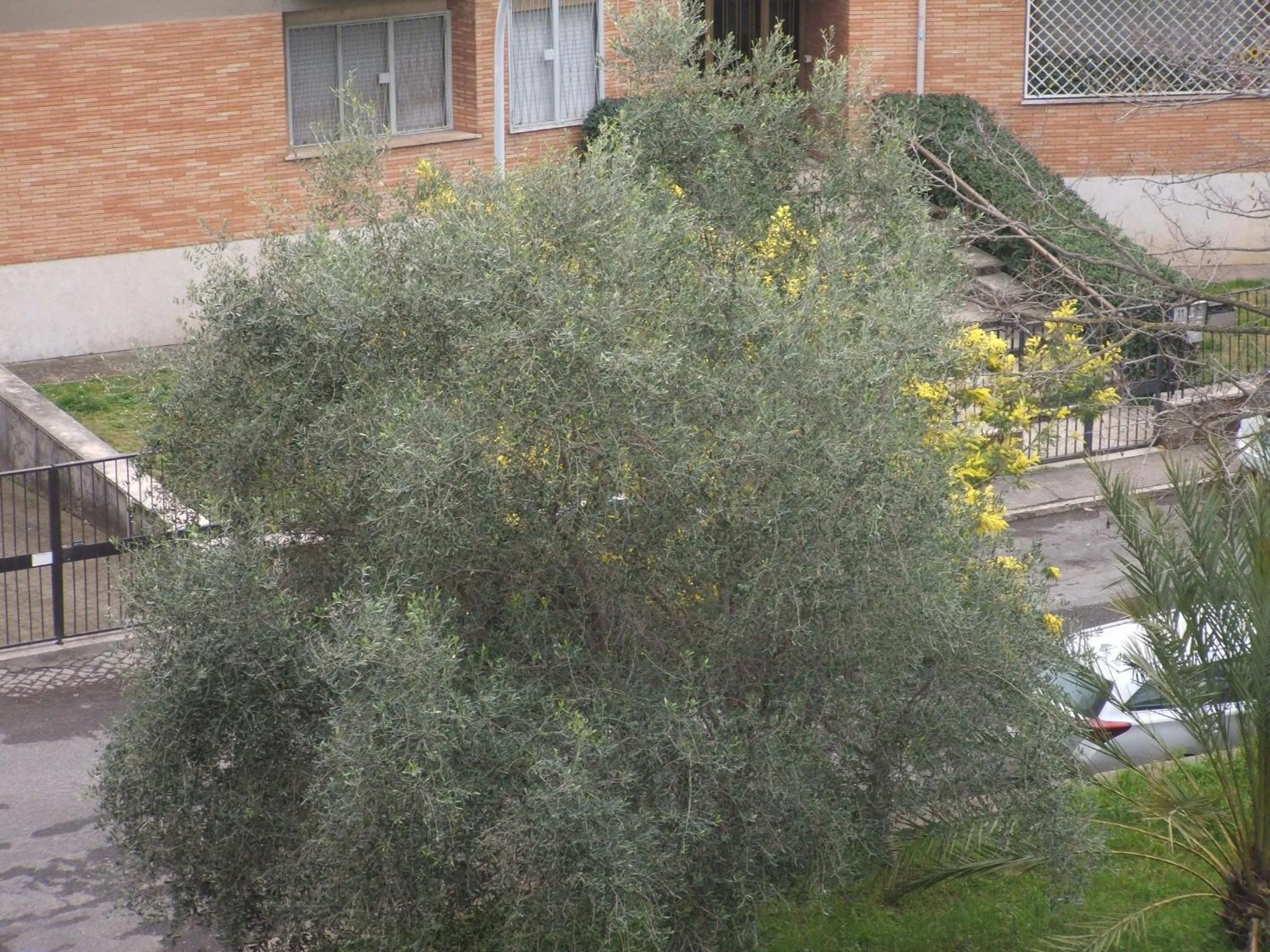 Street view in B&B La Cubanina
